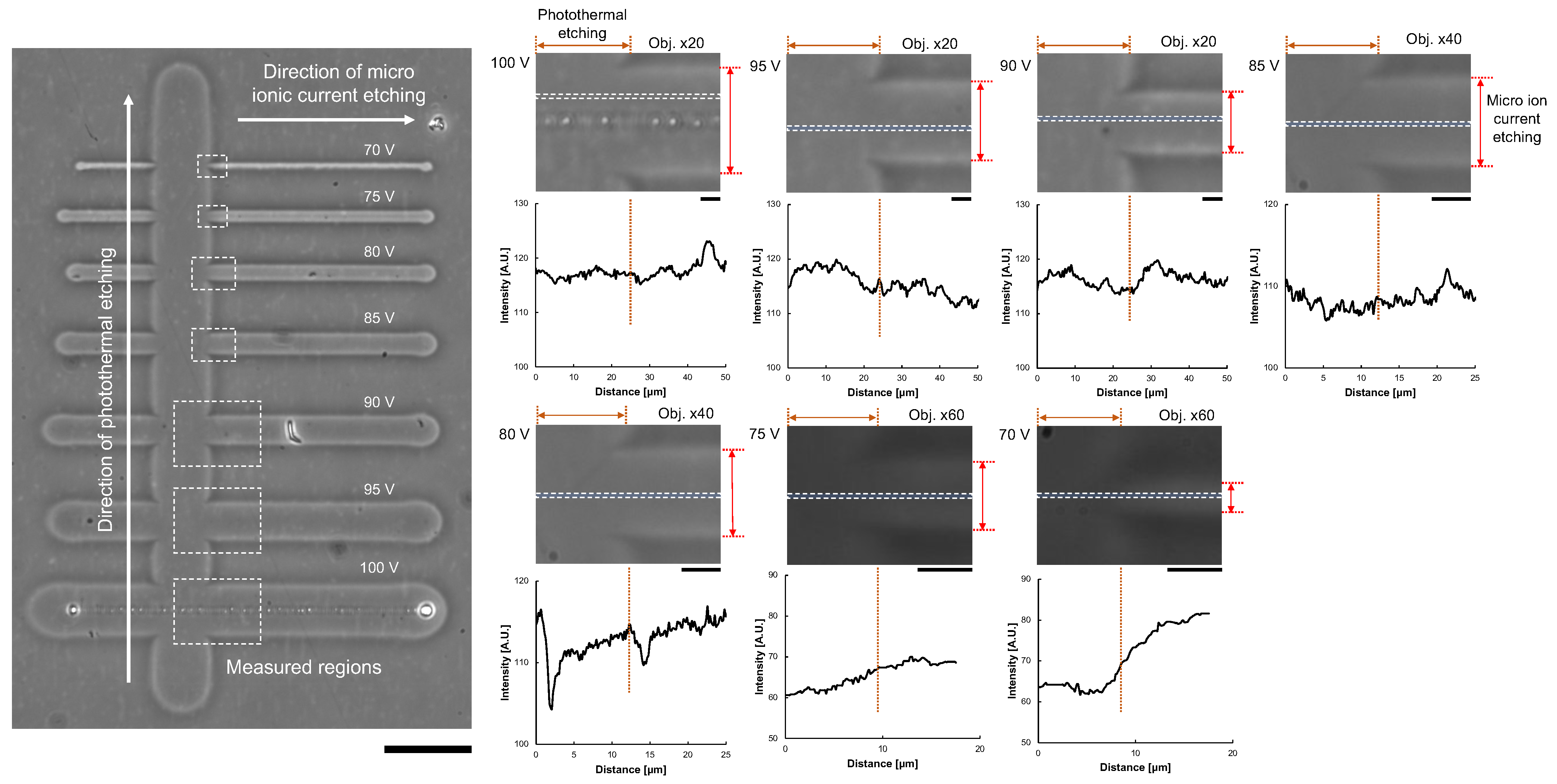 Micromachines 13 00174 g007