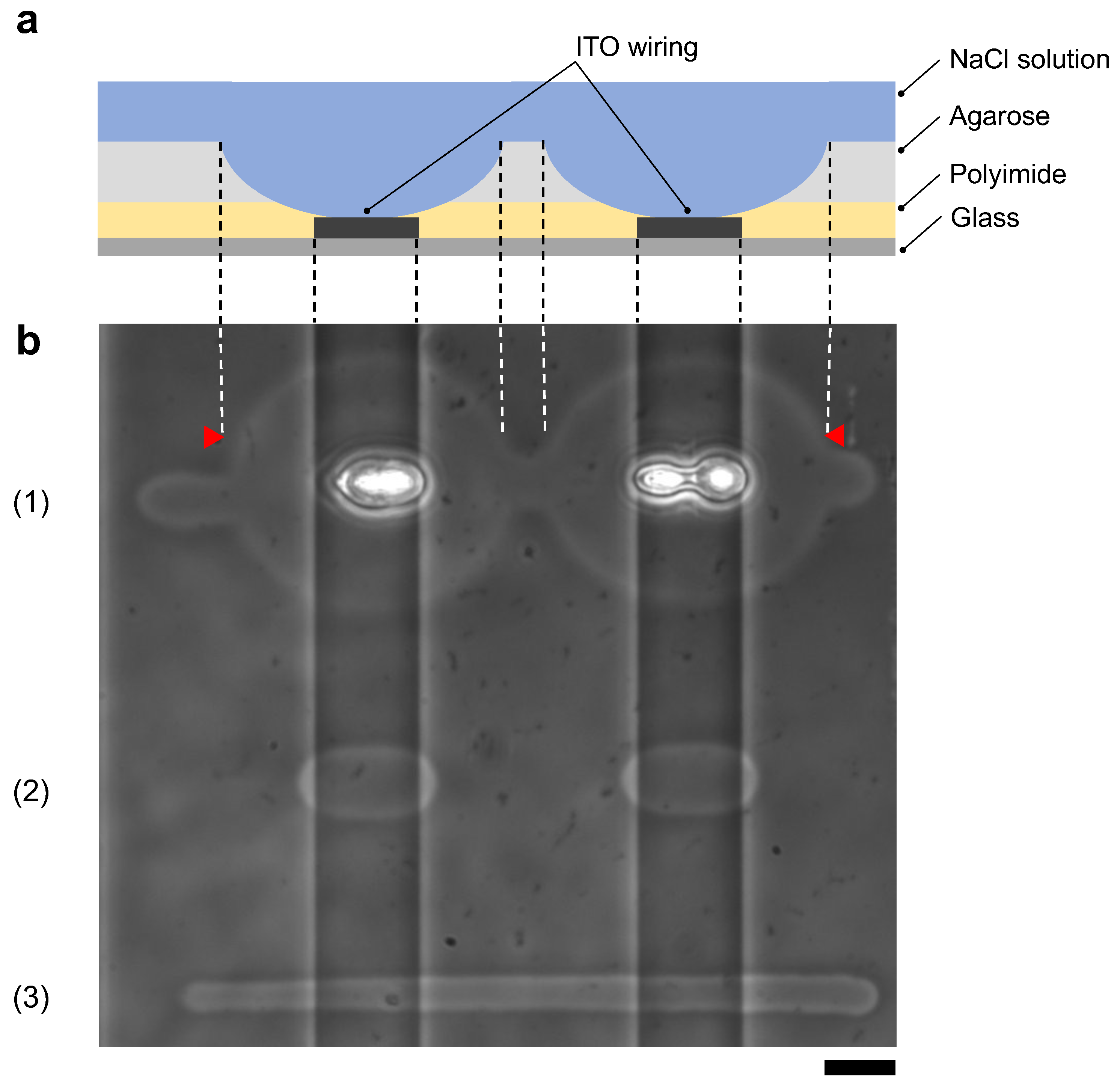 Micromachines 13 00174 g010