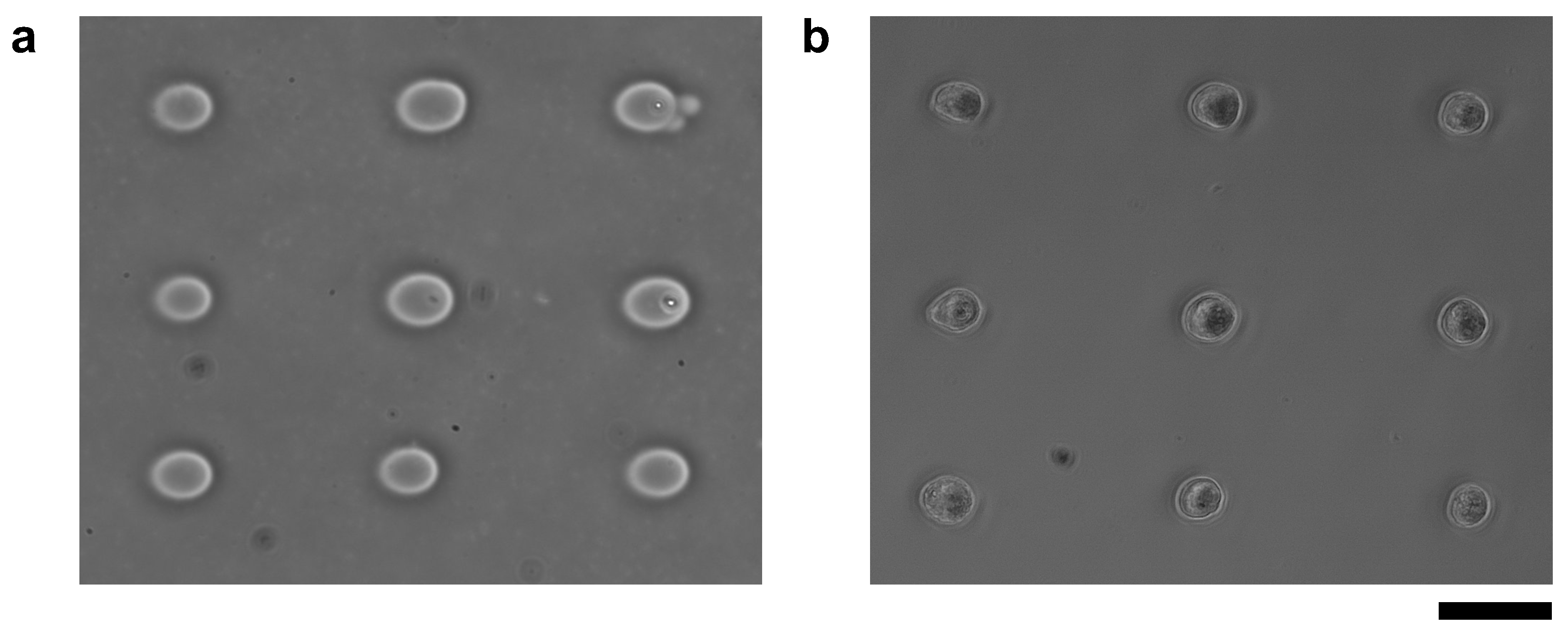 Micromachines 13 00174 g011