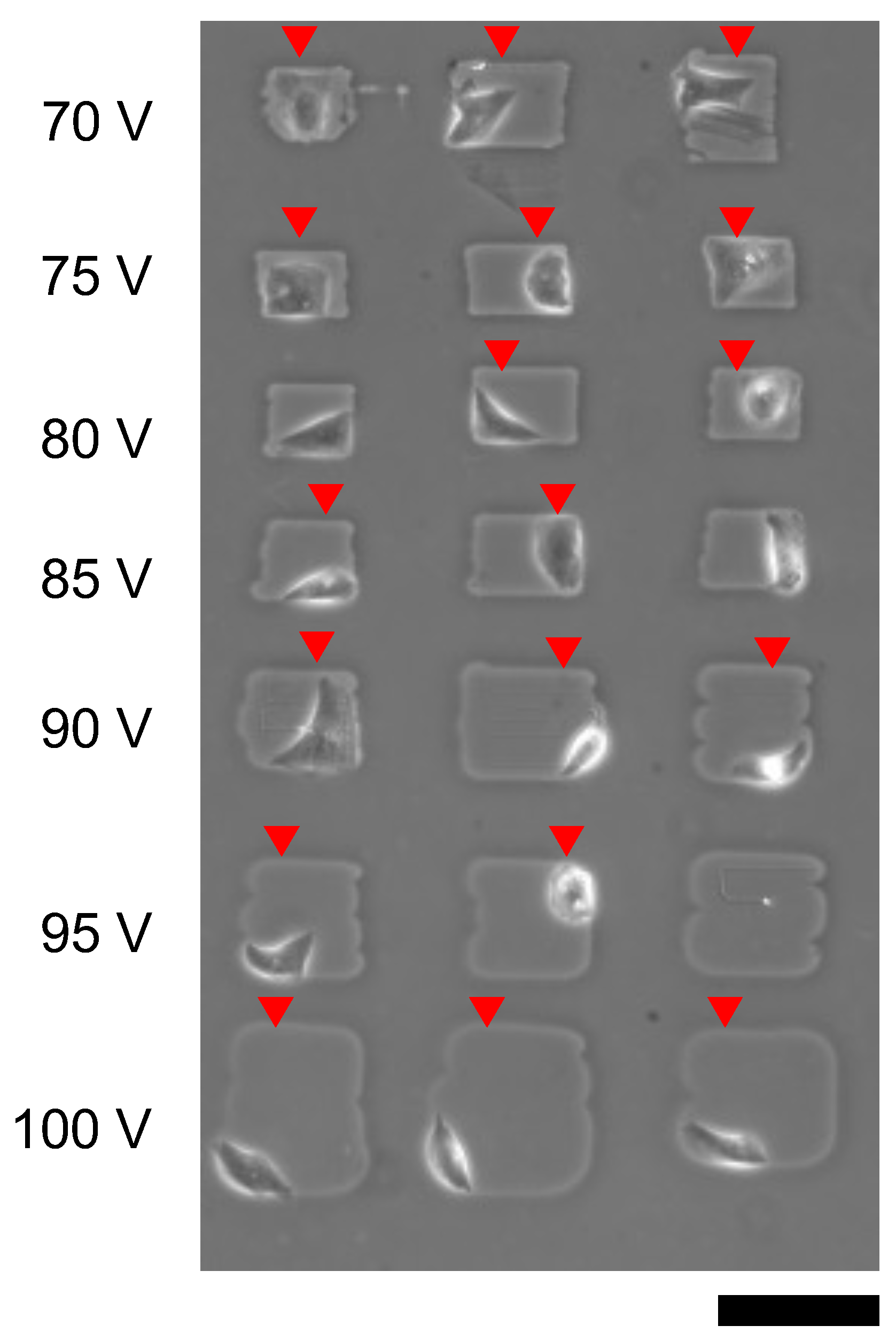 Micromachines 13 00174 g012