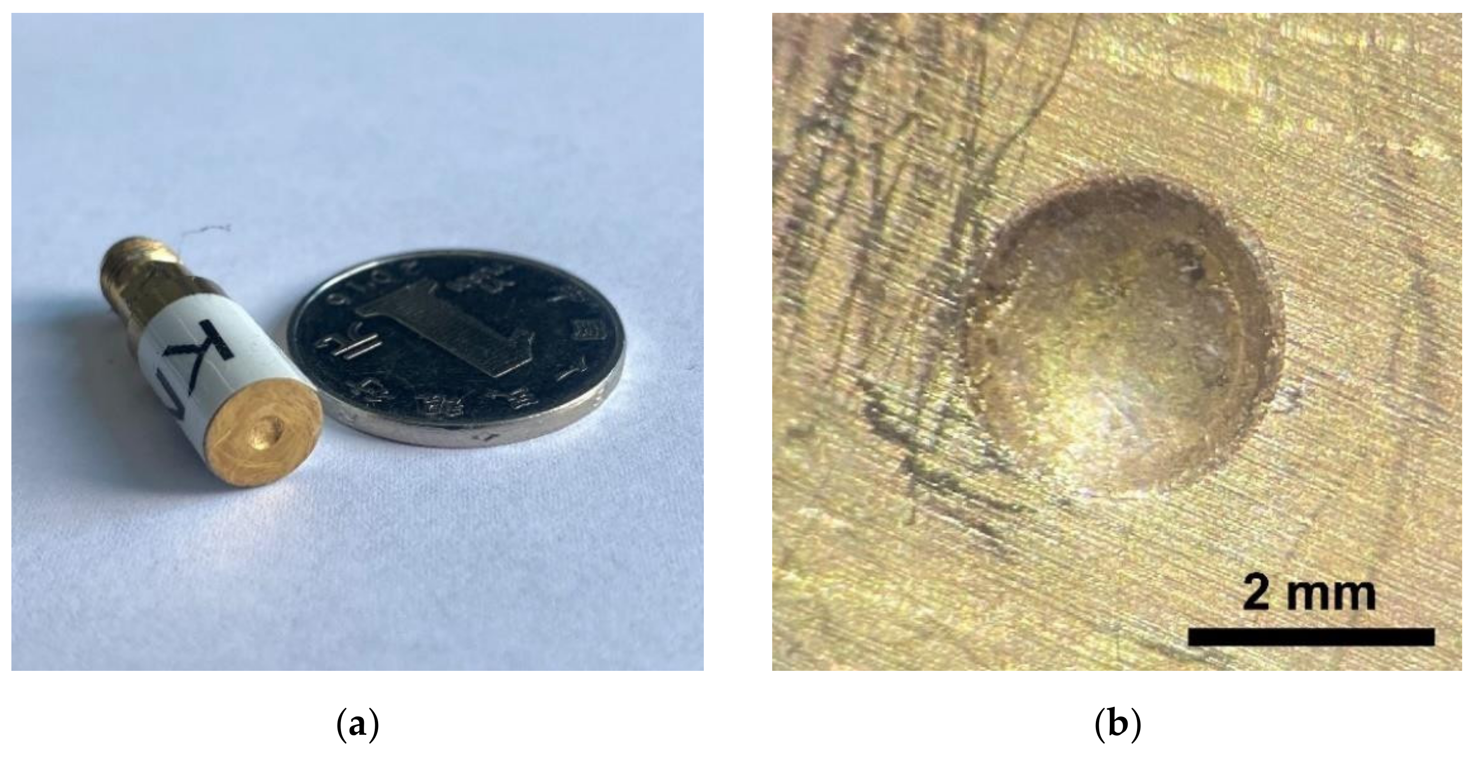 Micromachines 13 00175 g001