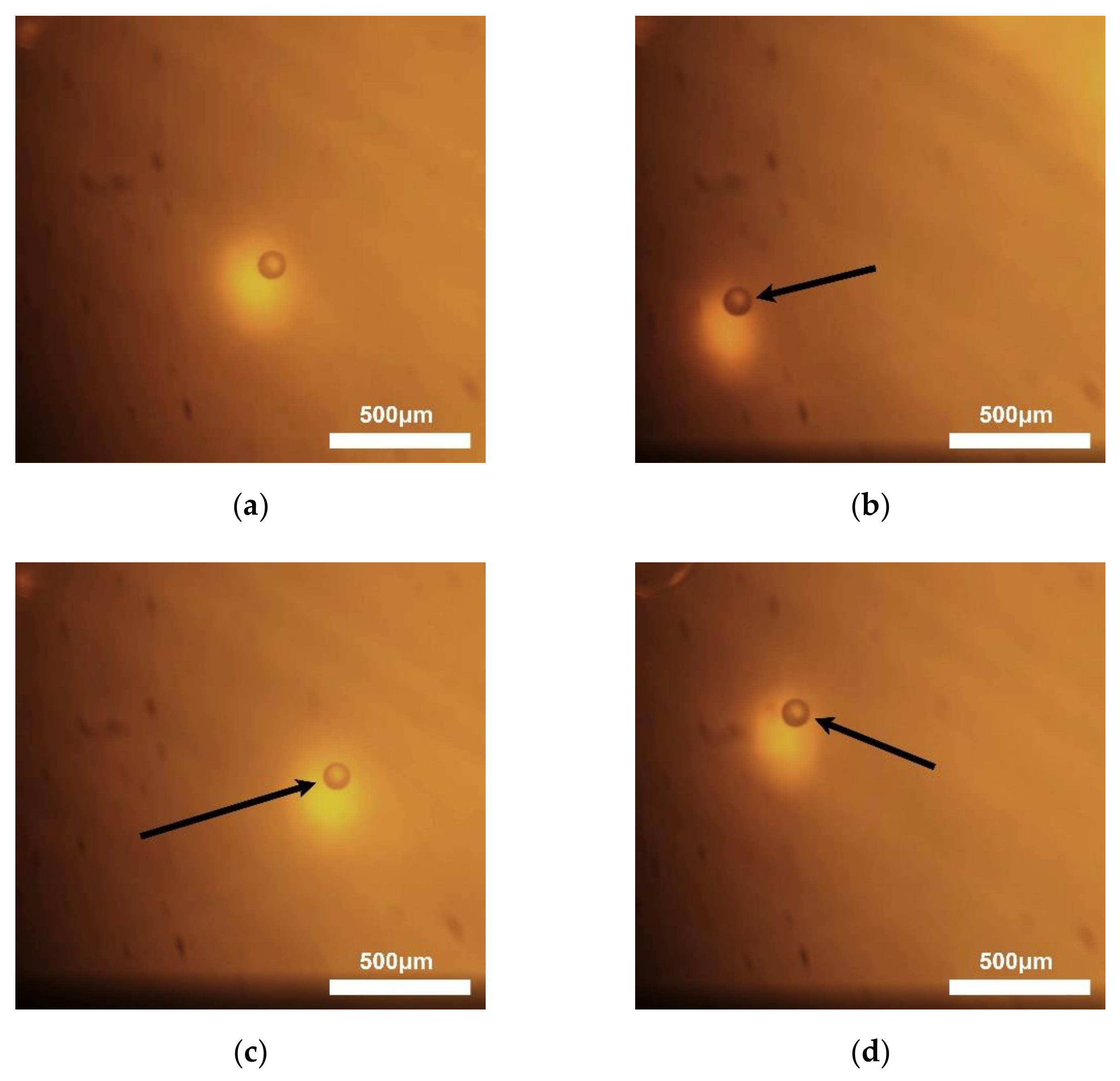 Micromachines 13 00175 g009