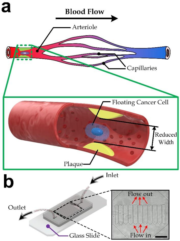 Micromachines 13 00183 g001