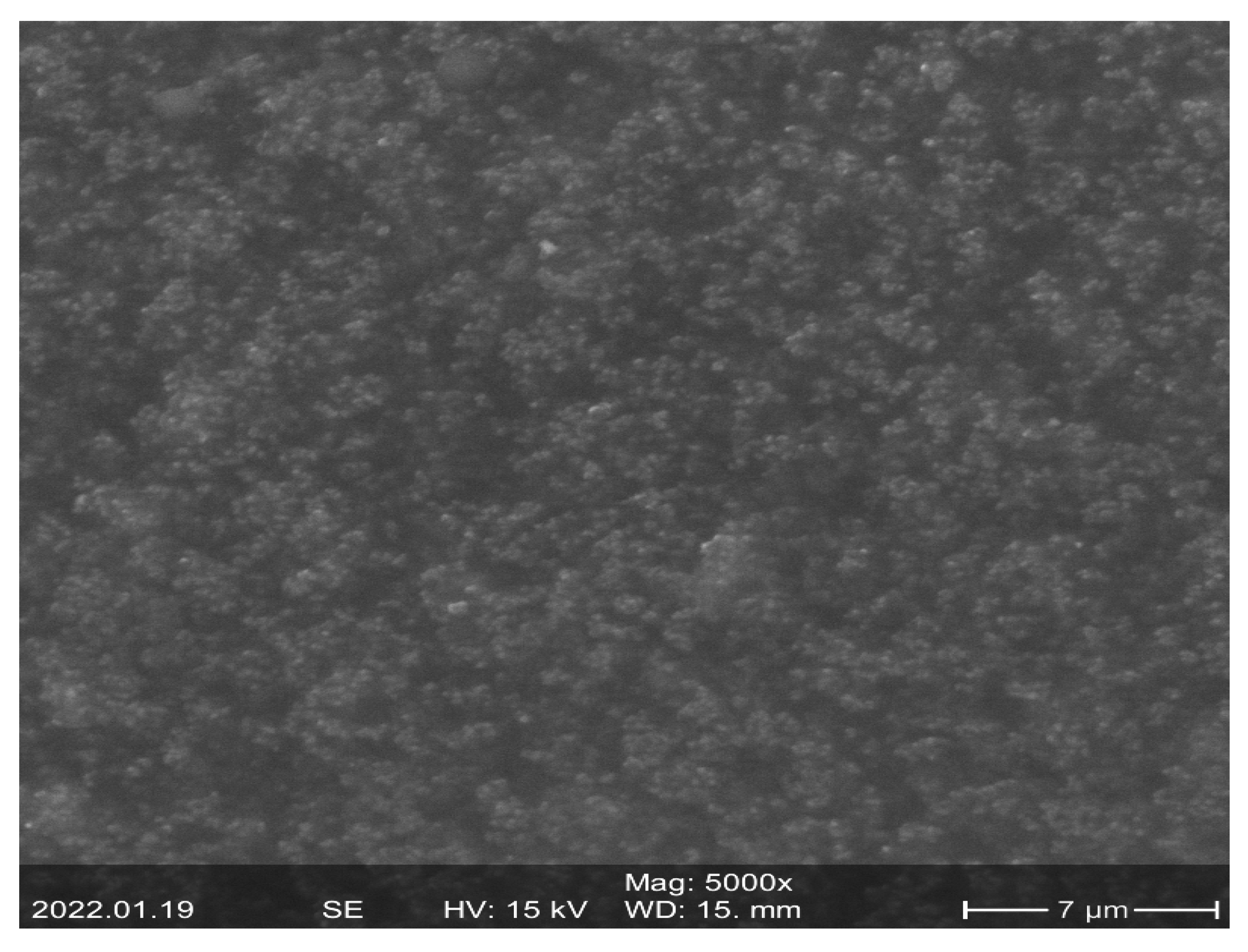 Micromachines 13 00185 g003