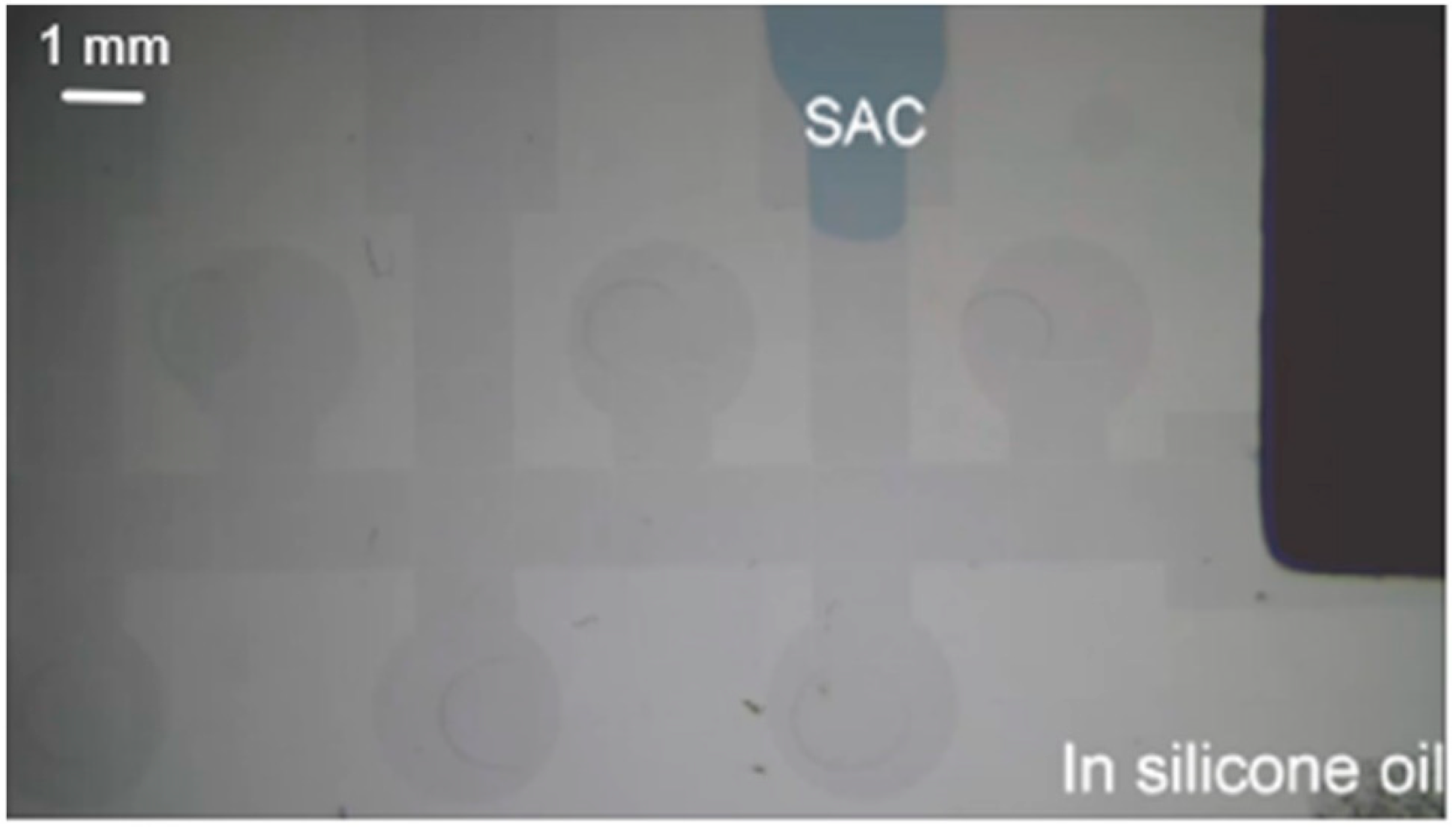 Micromachines 13 00189 g003