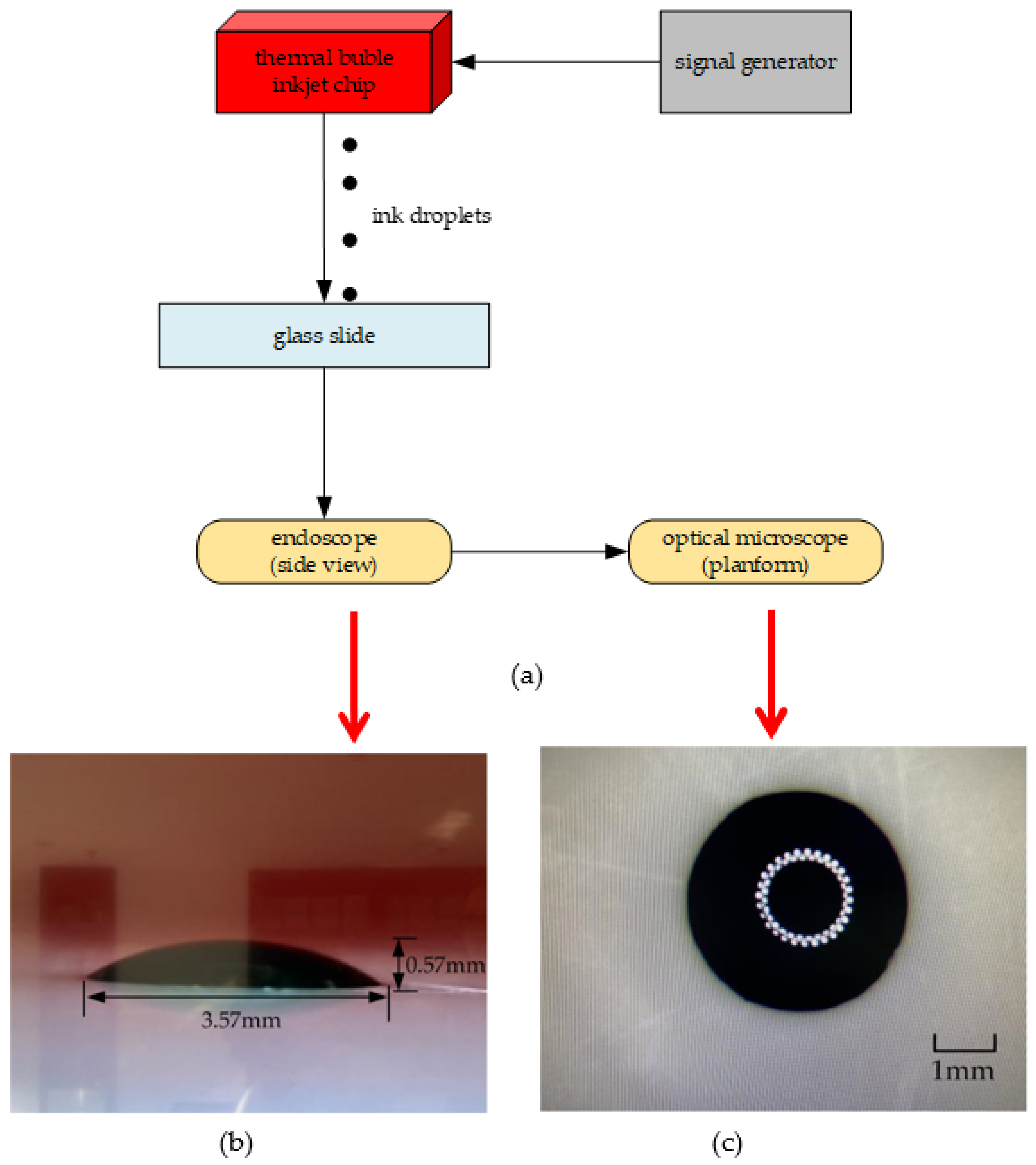 Micromachines 13 00194 g015