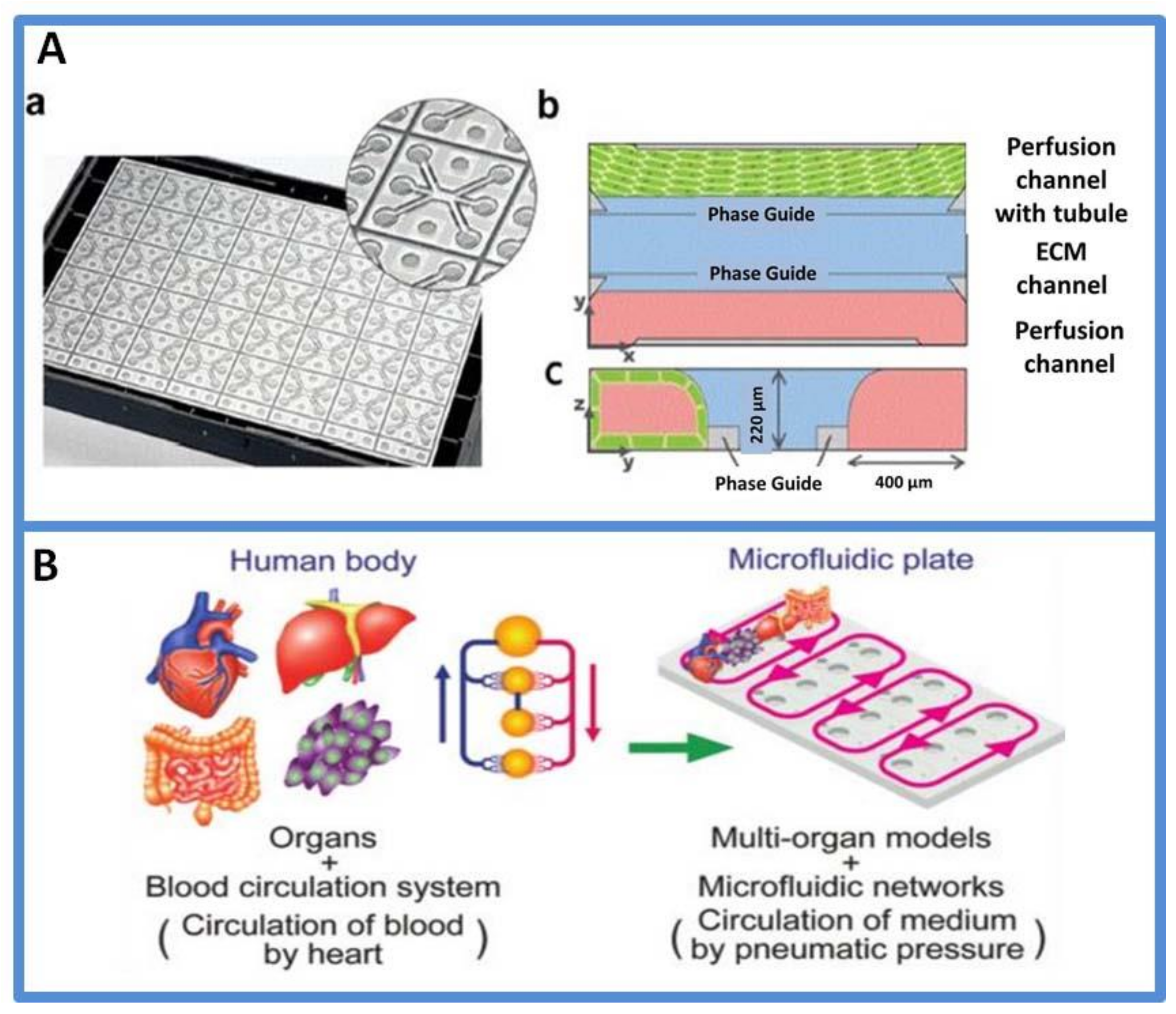 Micromachines 13 00200 g005 Micromachines 13 00200 g005