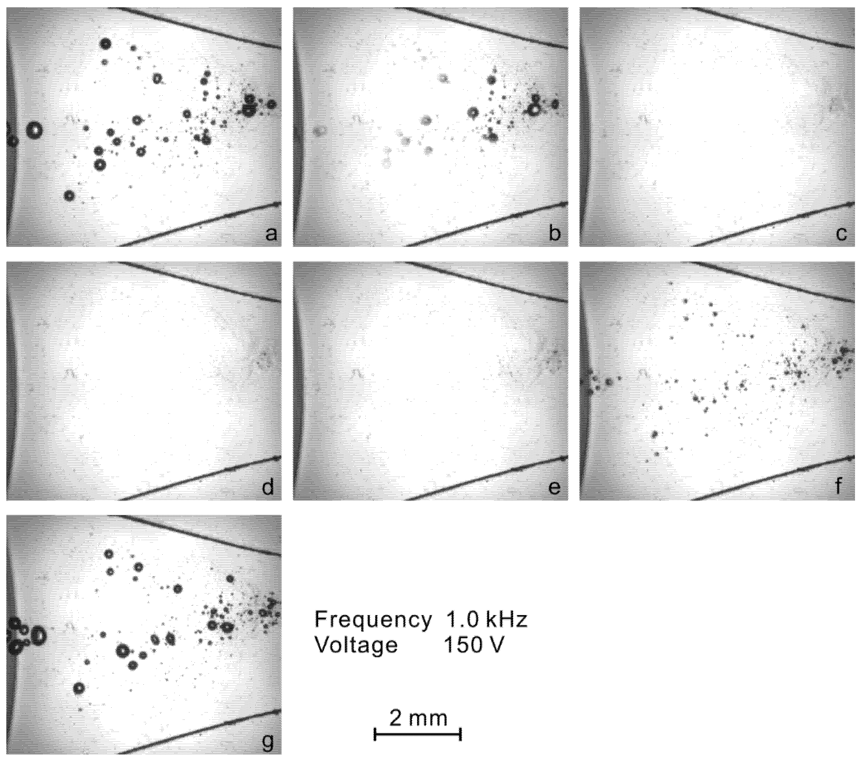 Micromachines 13 00203 g005