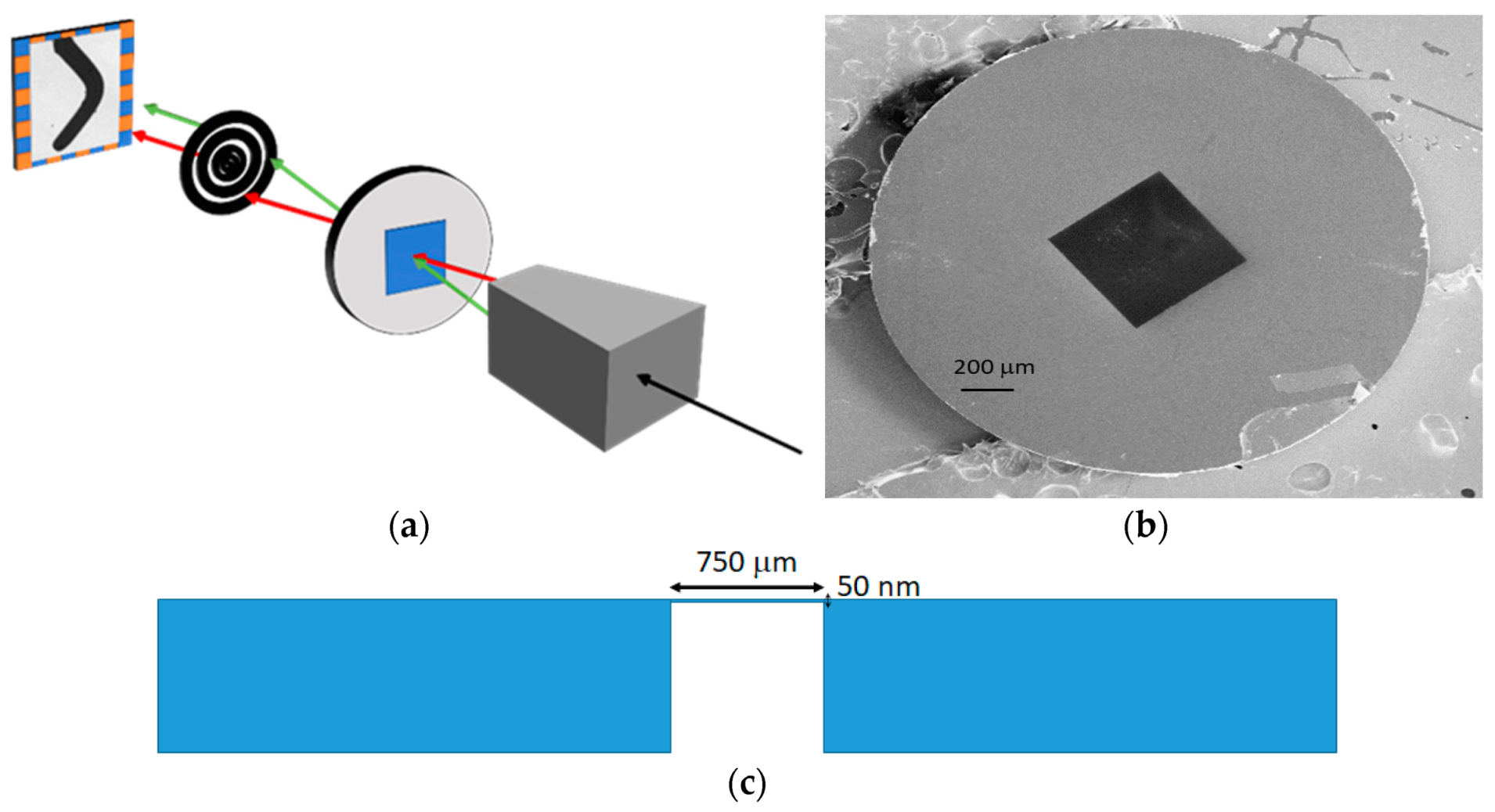 Micromachines 13 00204 g001