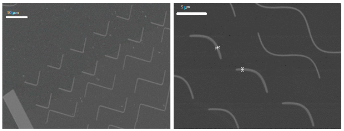 Micromachines 13 00204 g003