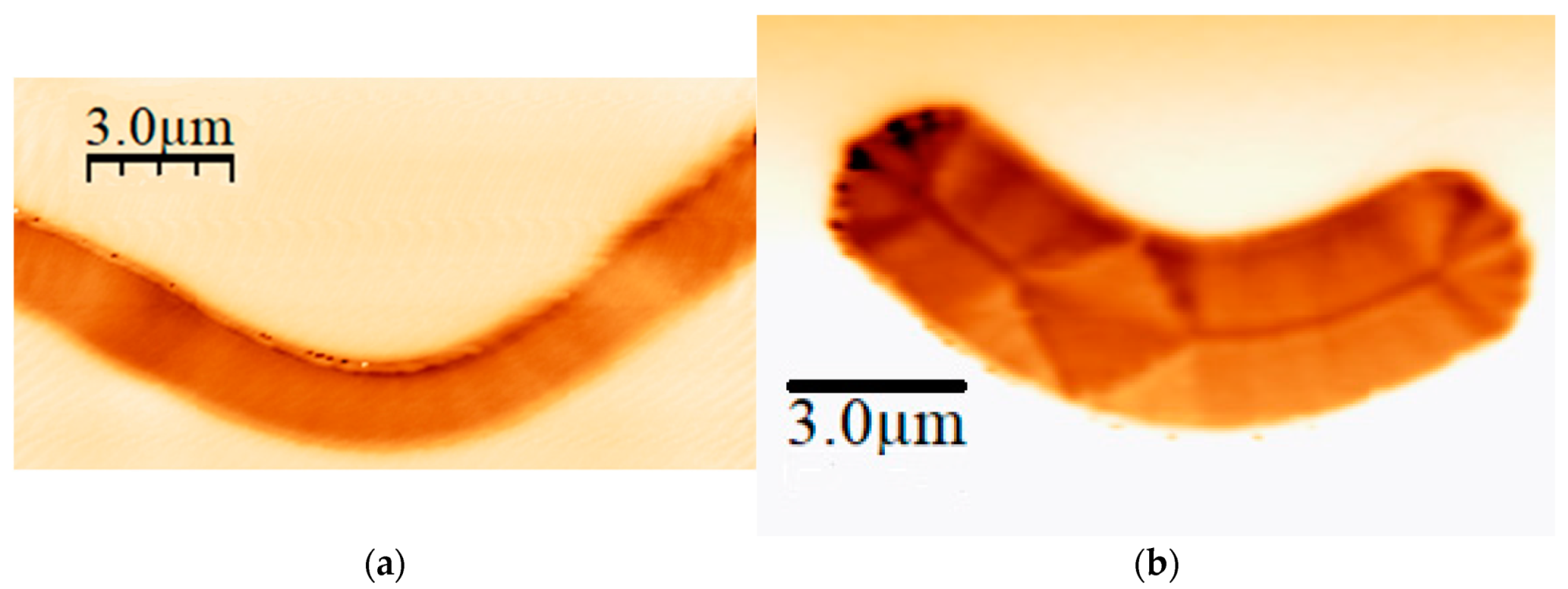 Micromachines 13 00204 g004
