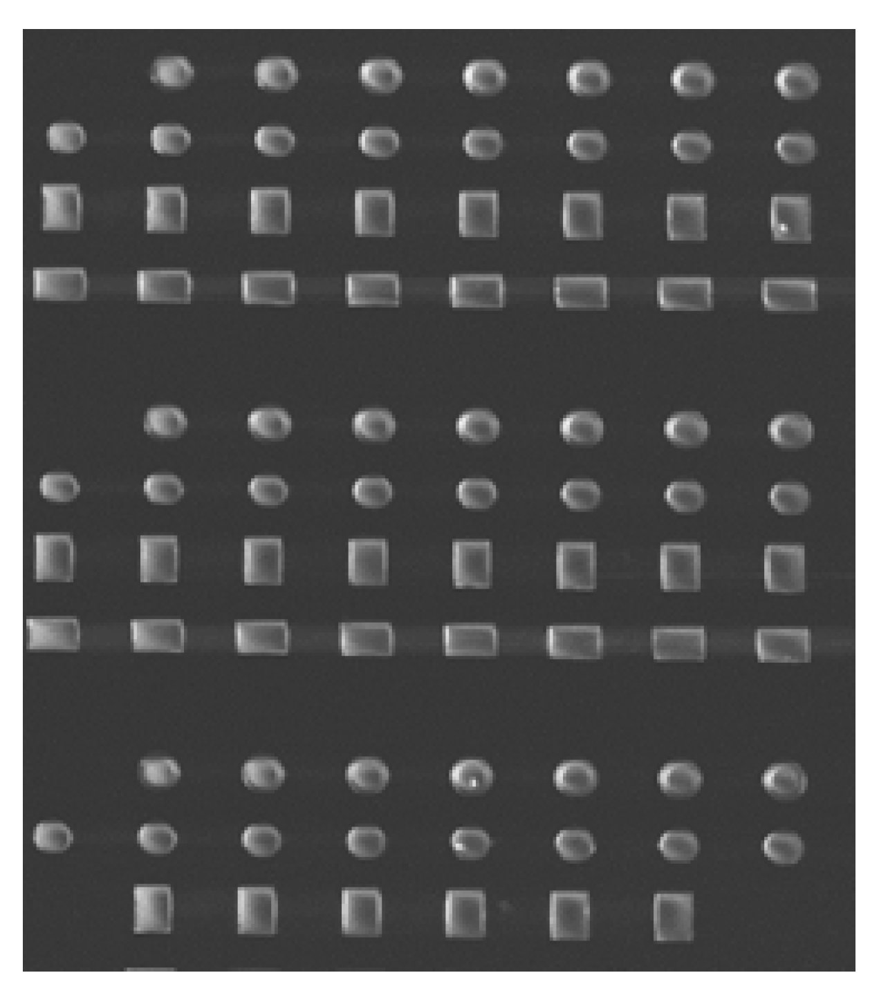 Micromachines 13 00204 g007