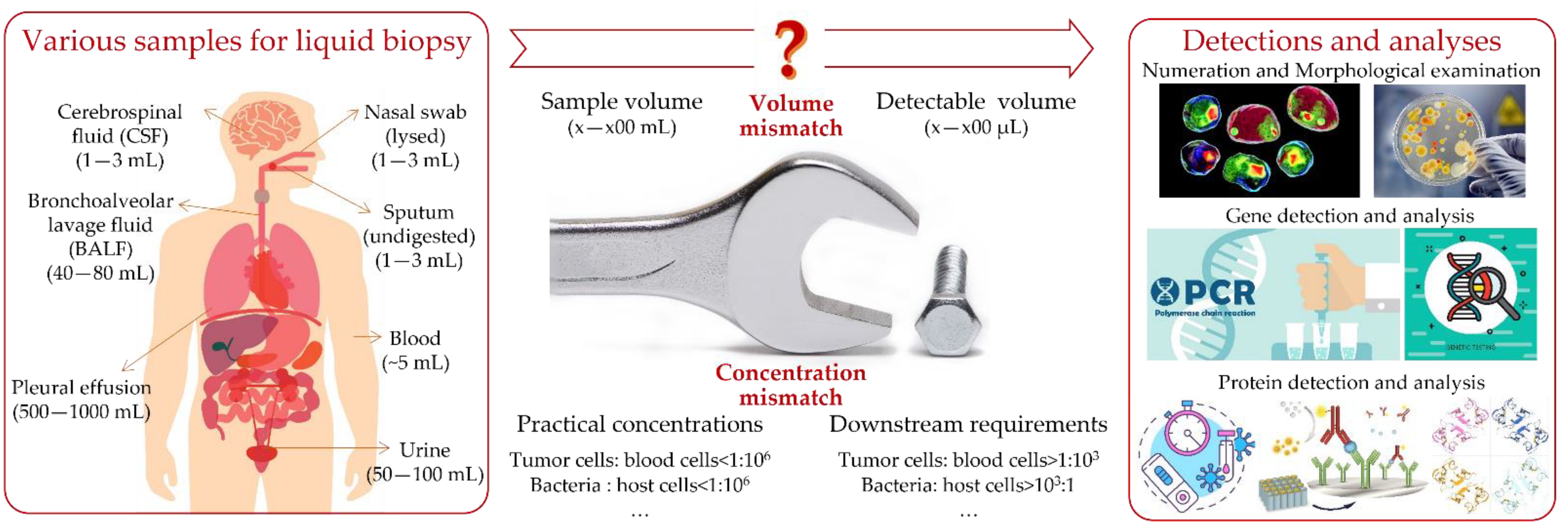 Micromachines 13 00209 g001