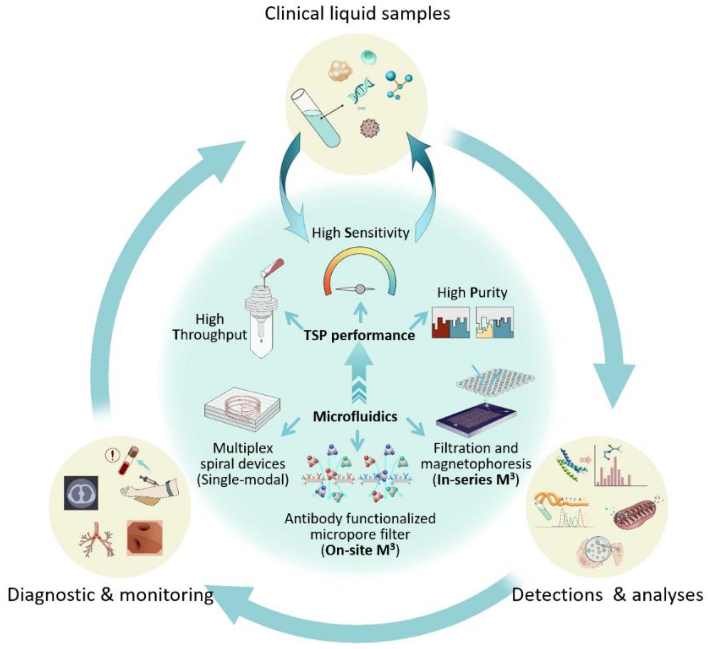 Micromachines 13 00209 g002