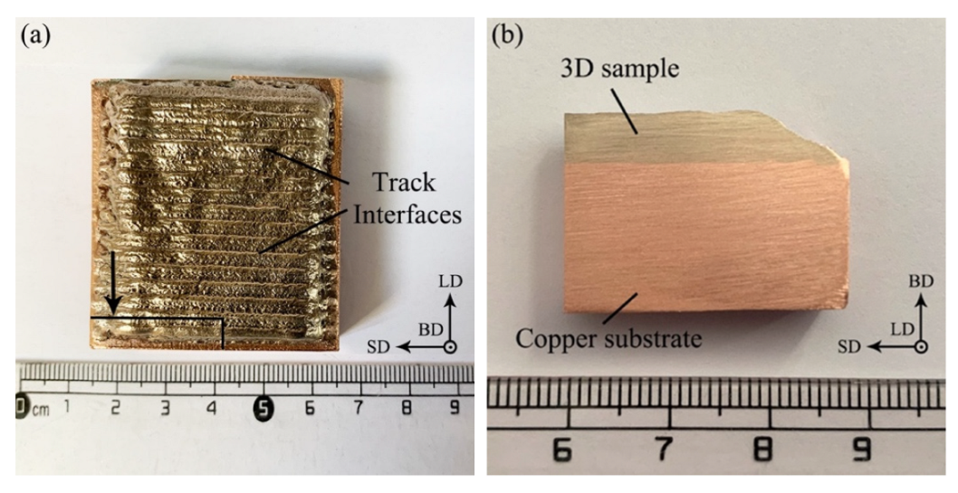 Micromachines 13 00212 g003