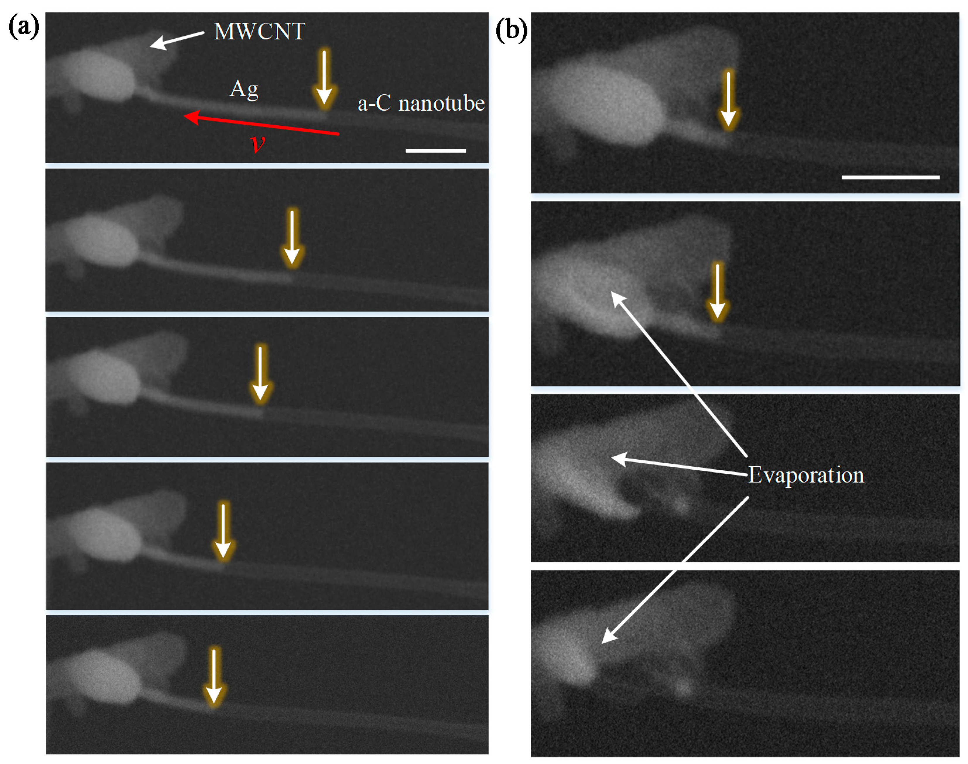 Micromachines 13 00213 g004
