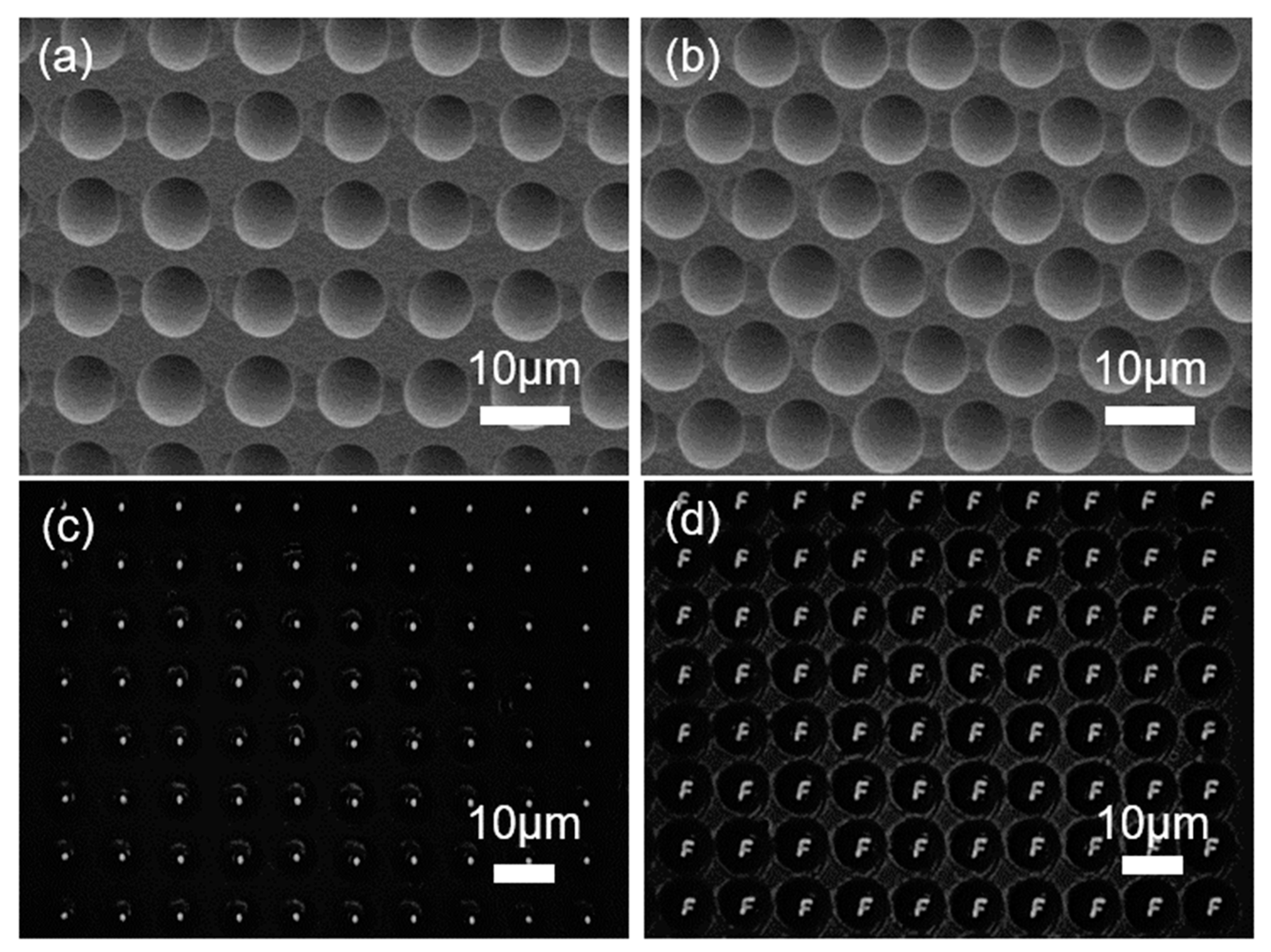 Micromachines 13 00218 g007