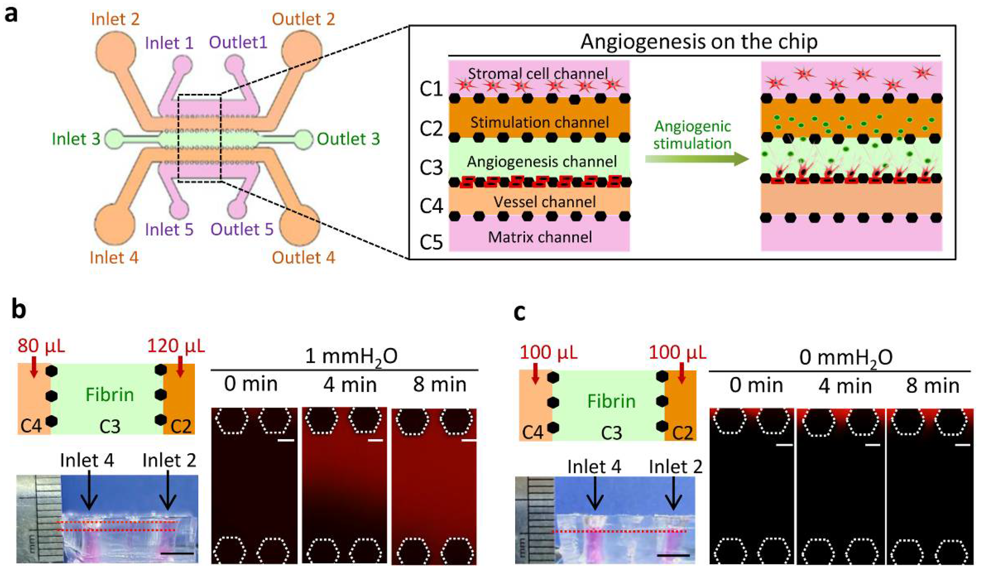 Micromachines 13 00225 g001