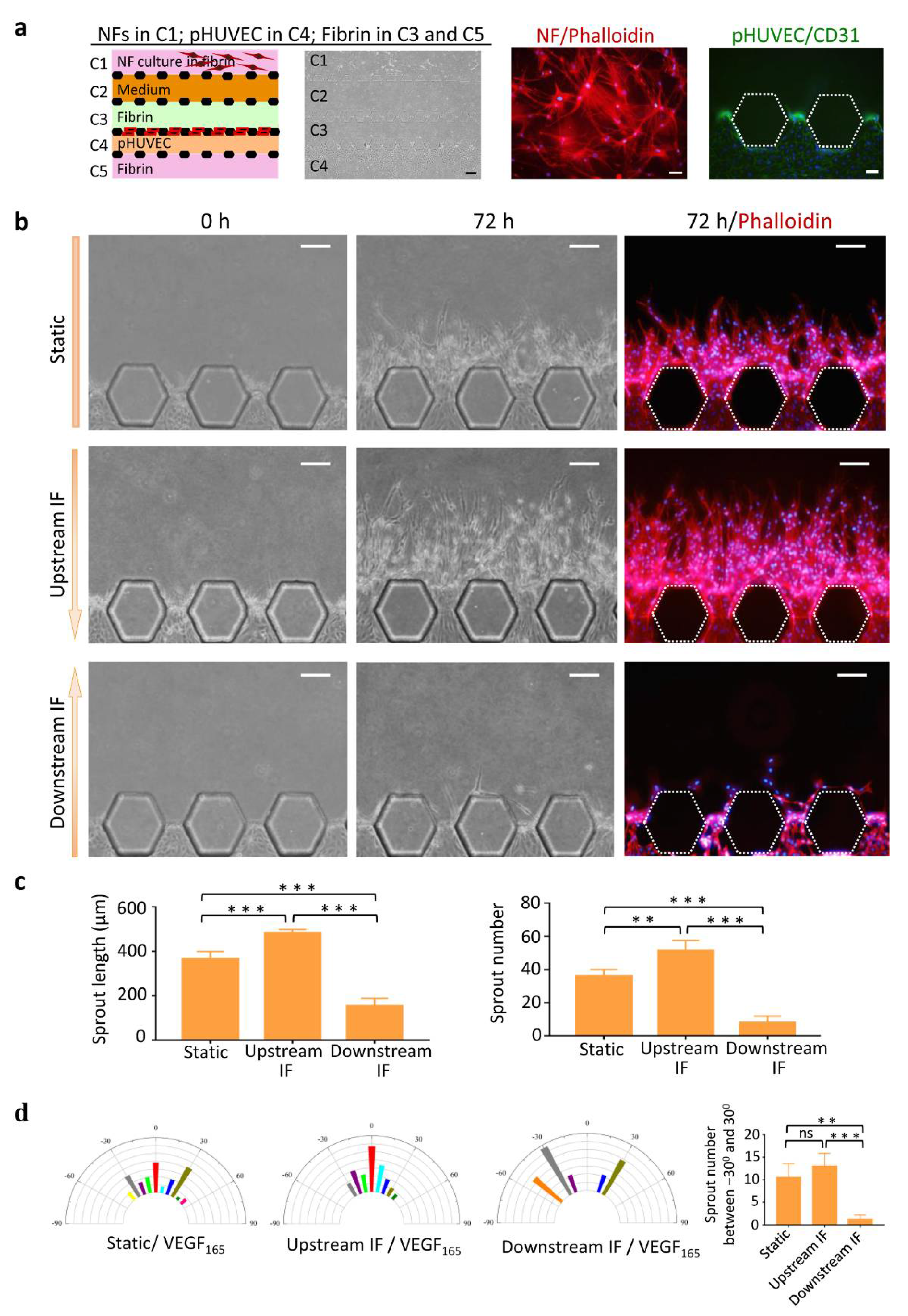 Micromachines 13 00225 g002