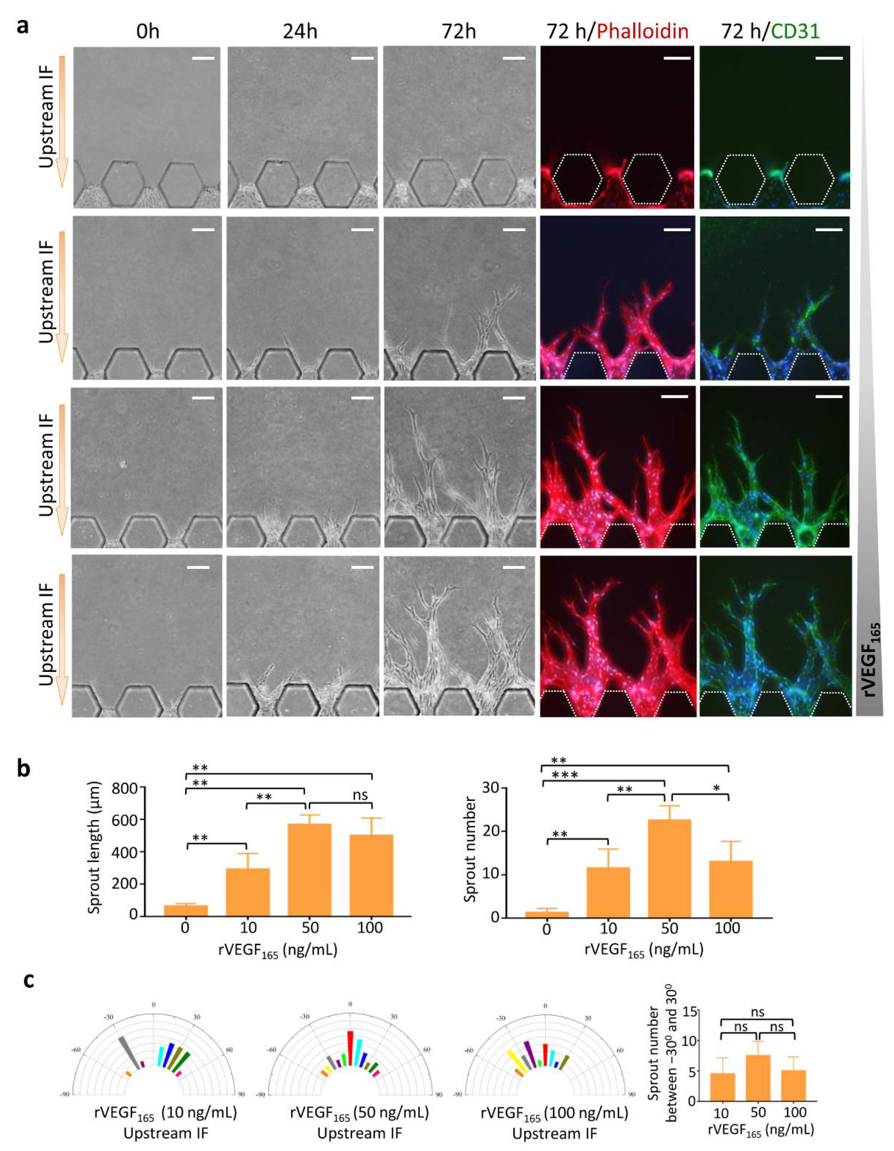 Micromachines 13 00225 g003