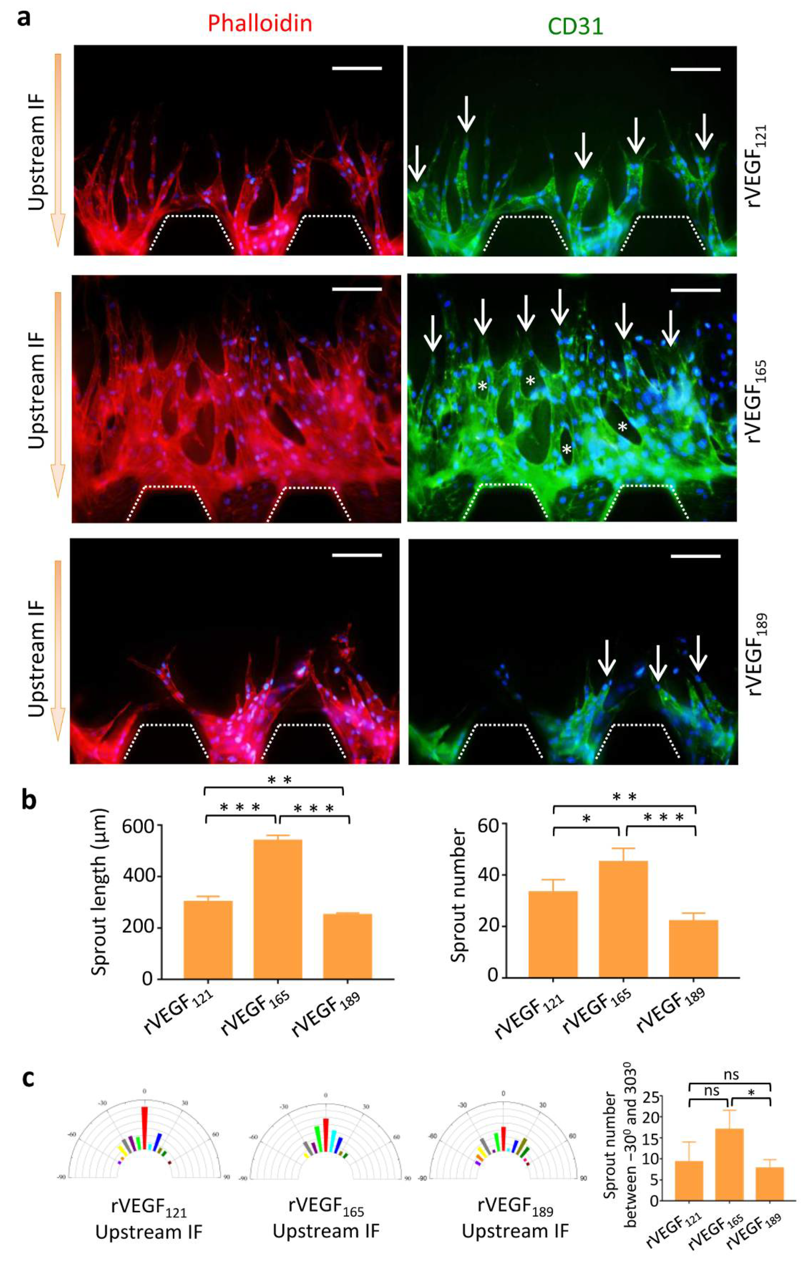 Micromachines 13 00225 g004