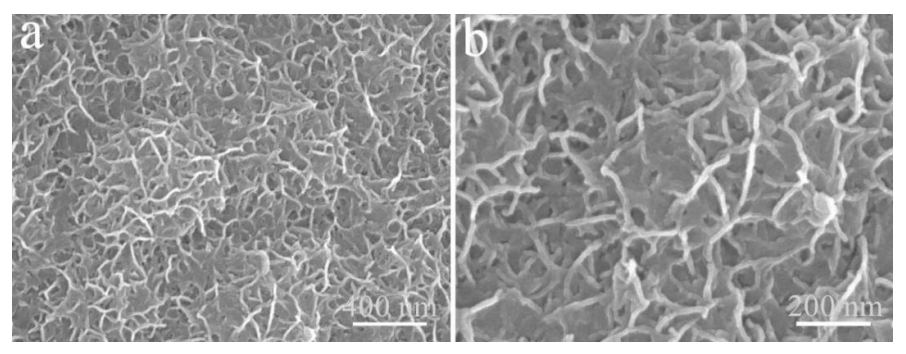 Micromachines 13 00237 g006