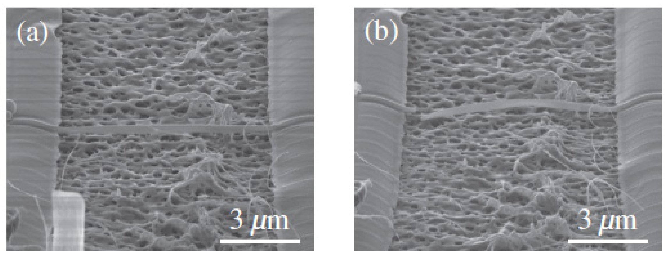Micromachines 13 00241 g005