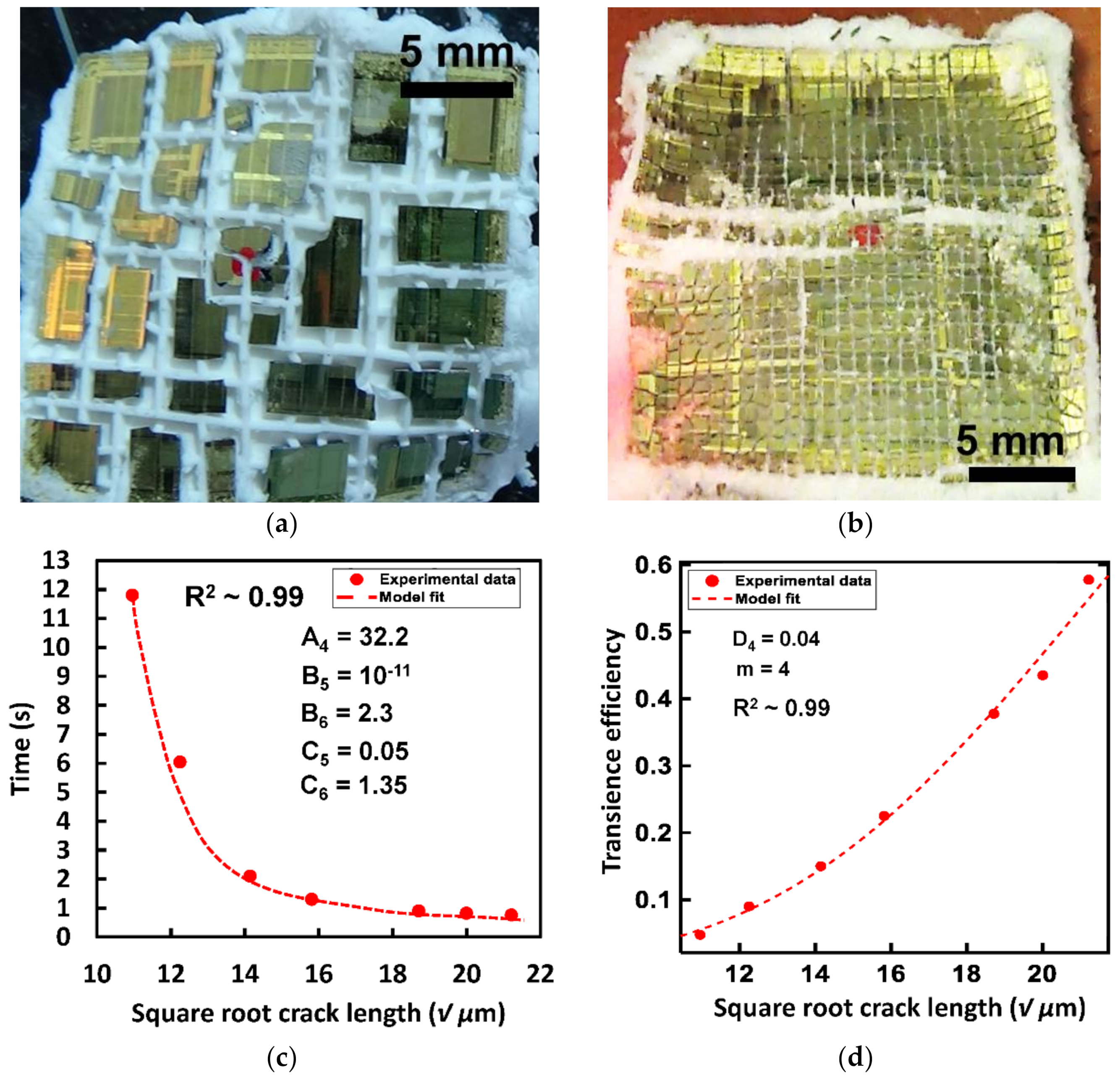 Micromachines 13 00242 g006