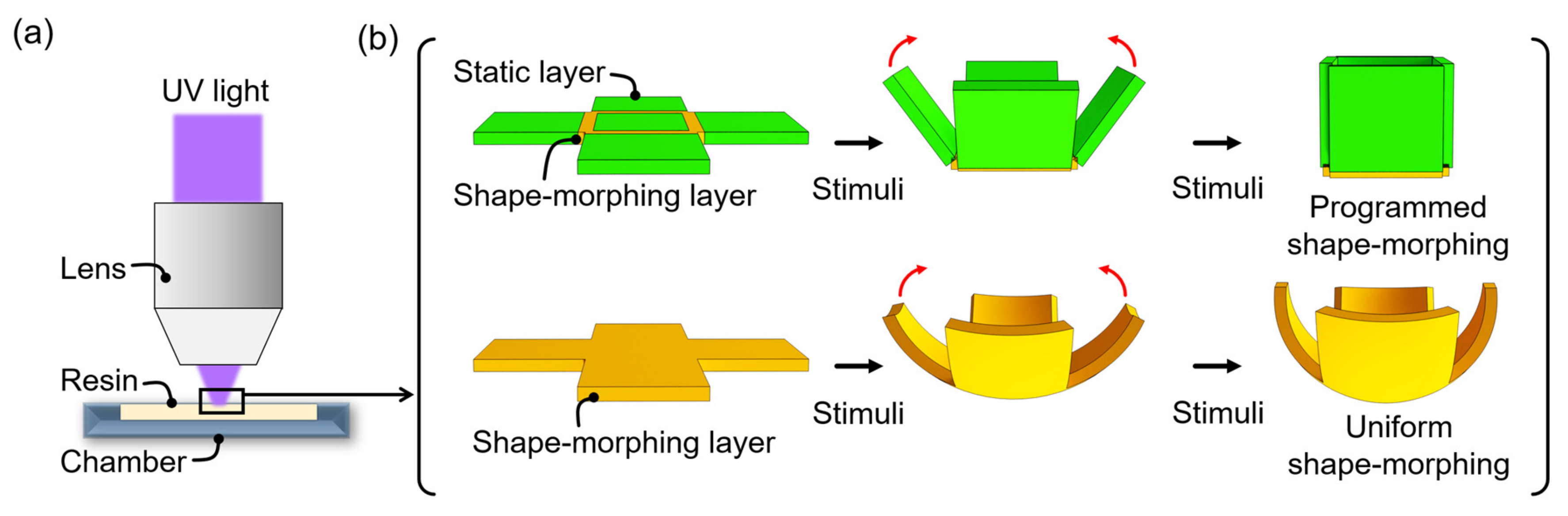 Micromachines 13 00243 g001