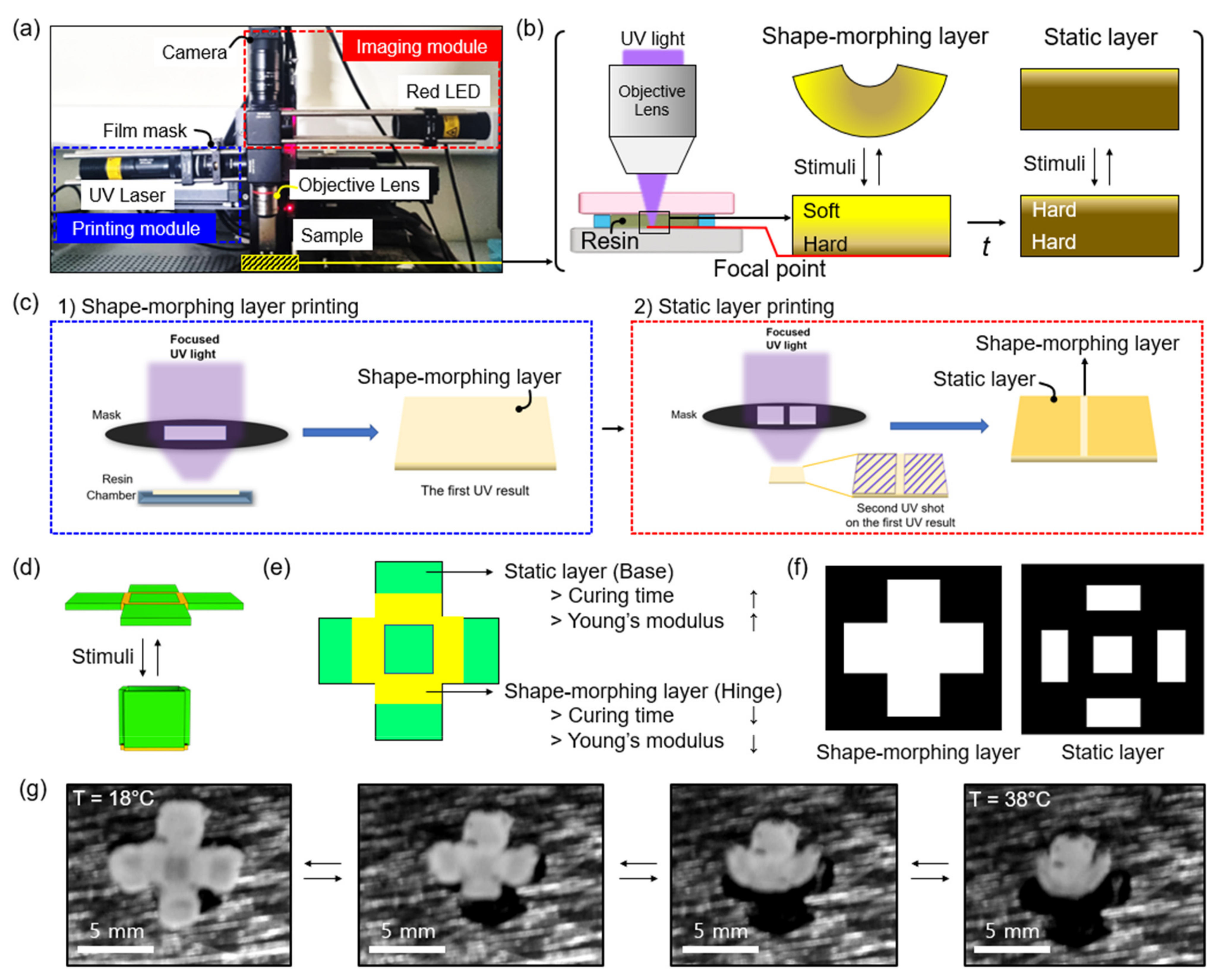 Micromachines 13 00243 g002