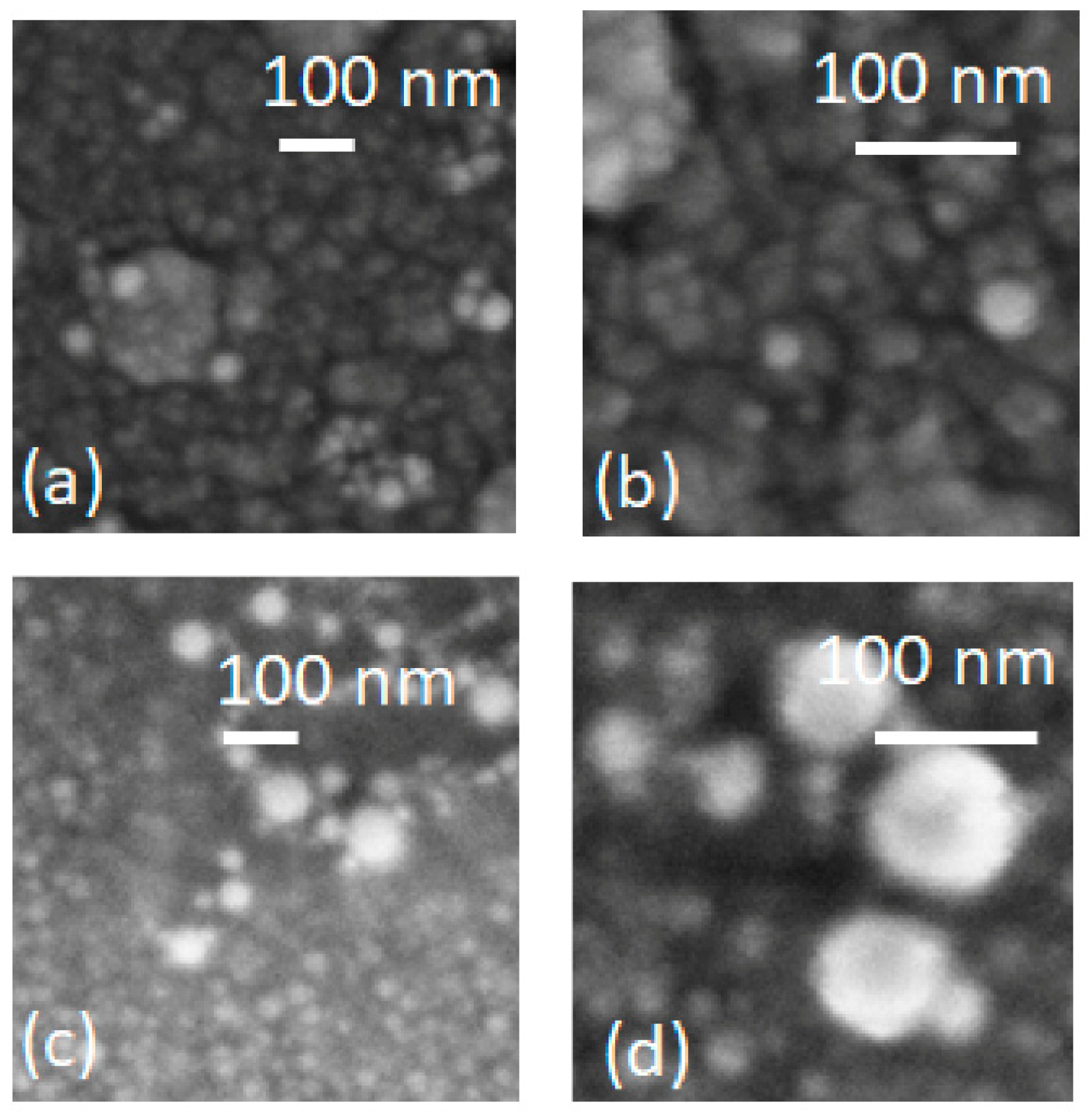 Micromachines 13 00247 g003