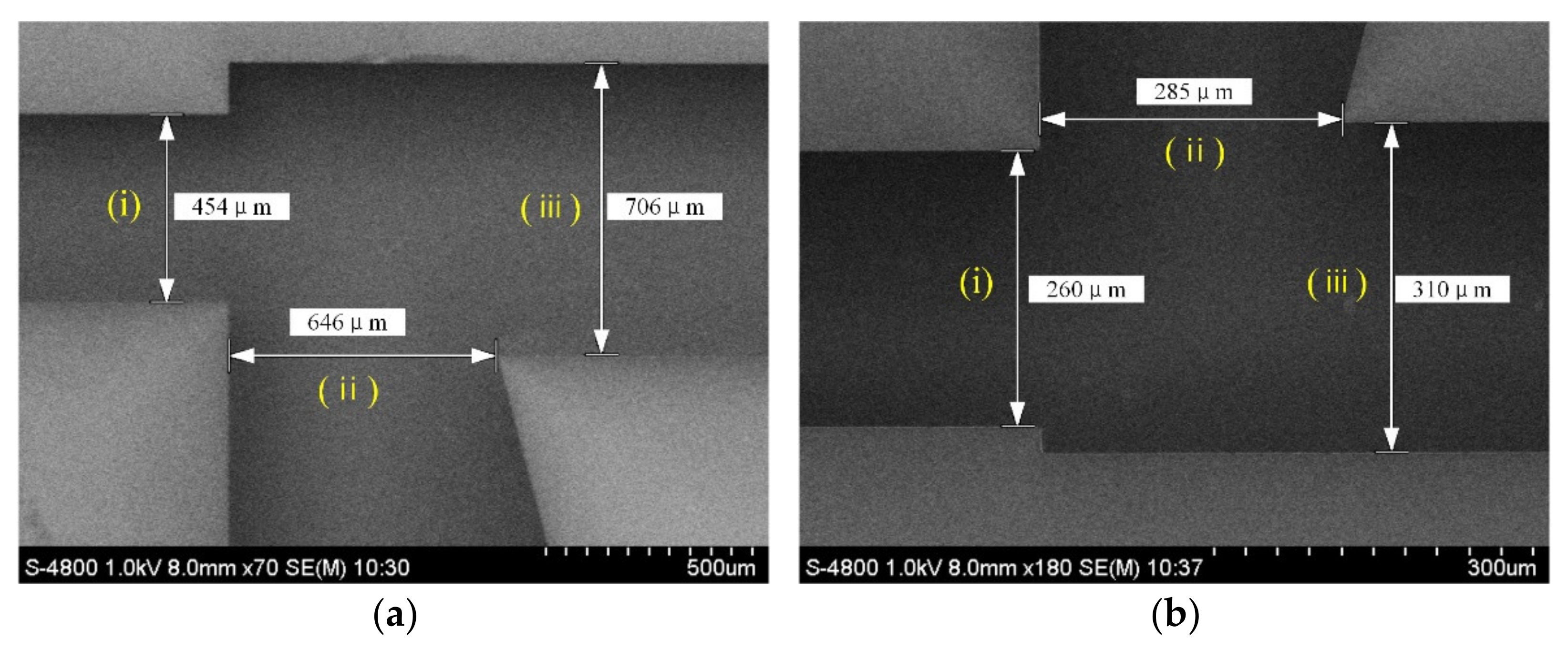 Micromachines 13 00252 g015