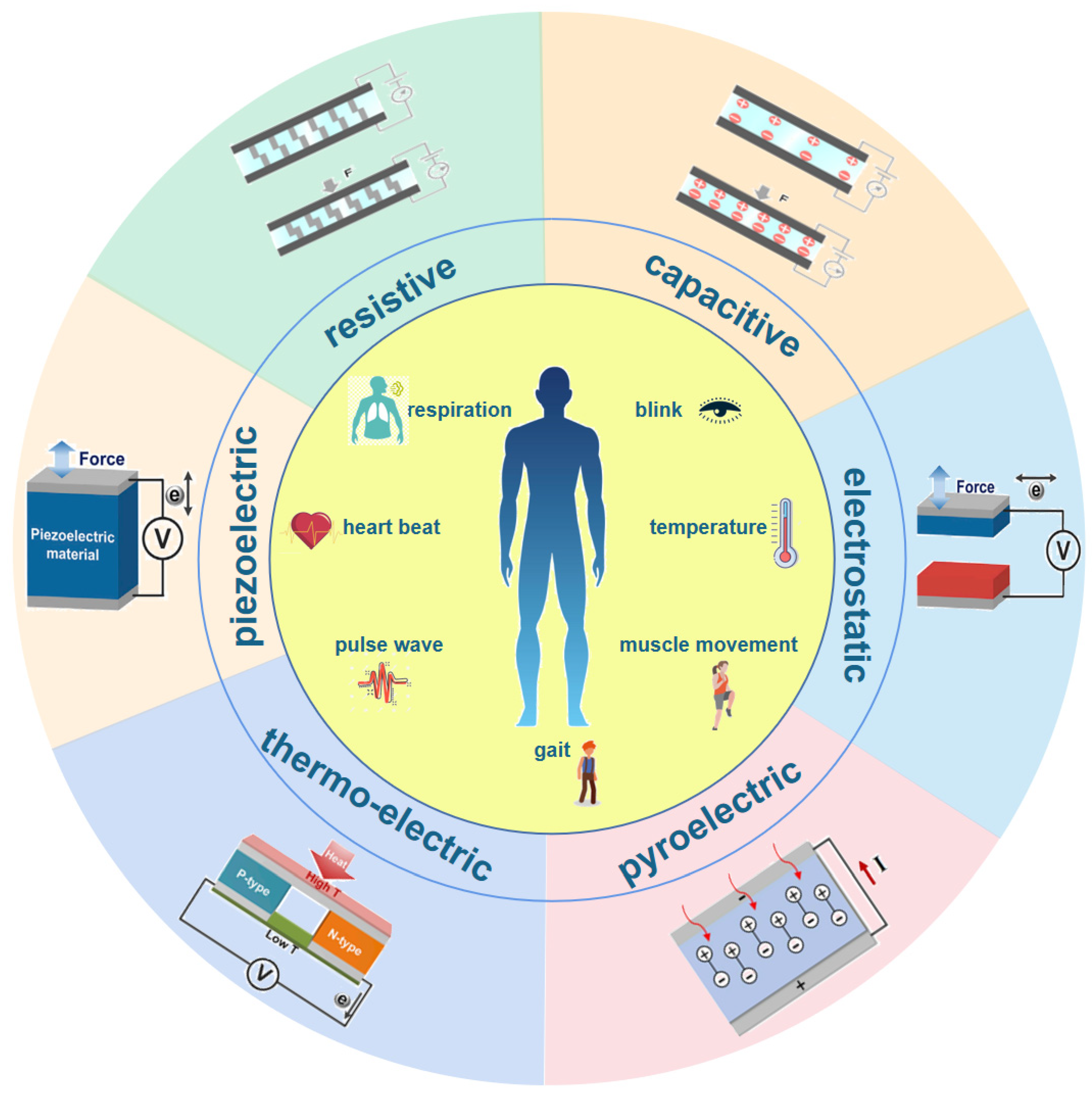 Micromachines 13 00254 g001