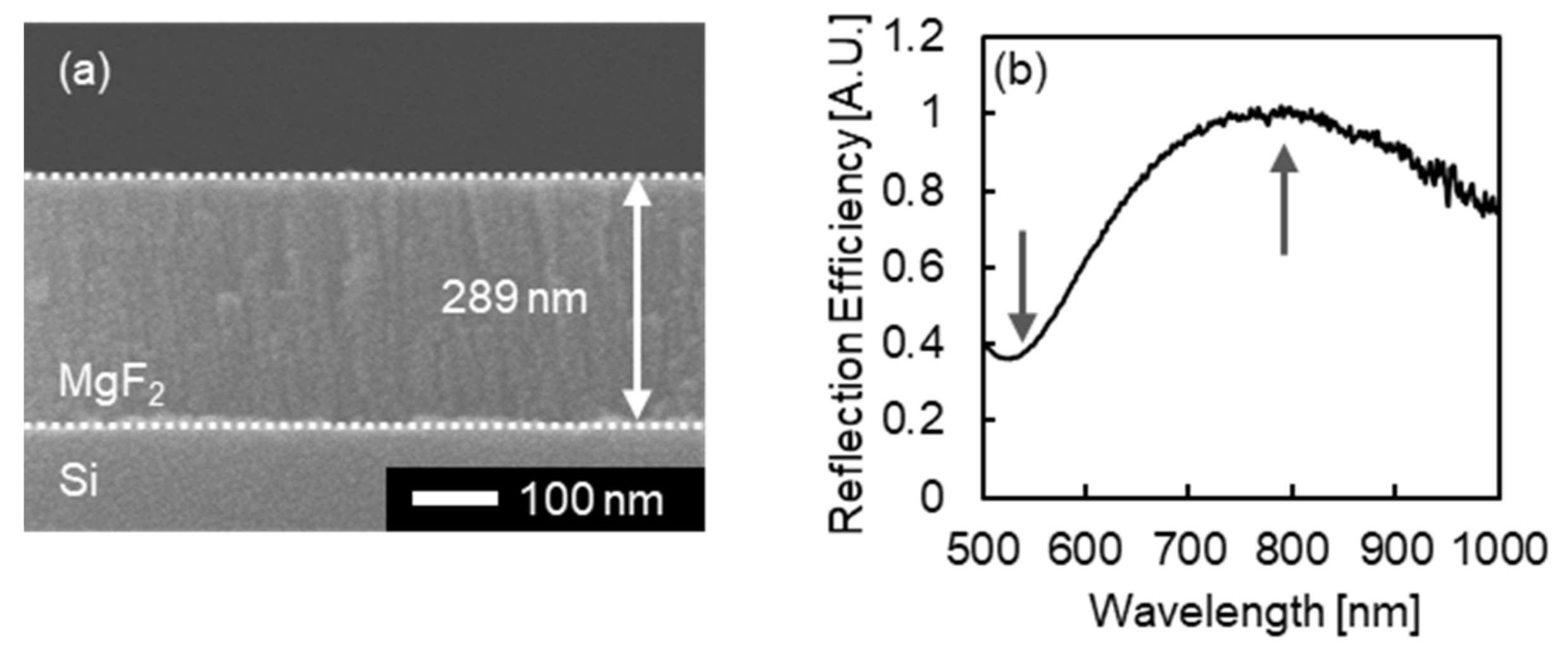 Micromachines 13 00257 g010