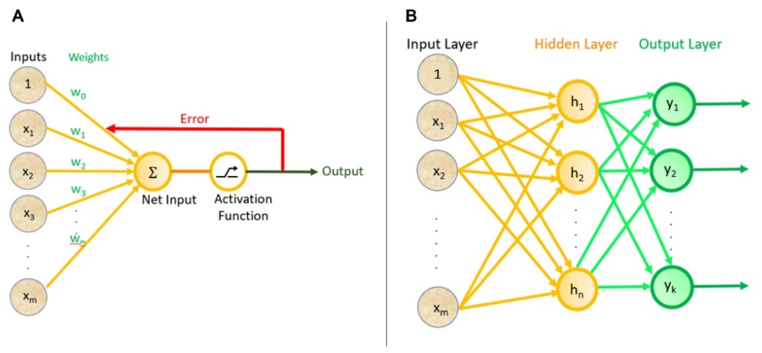 Micromachines 13 00260 g001