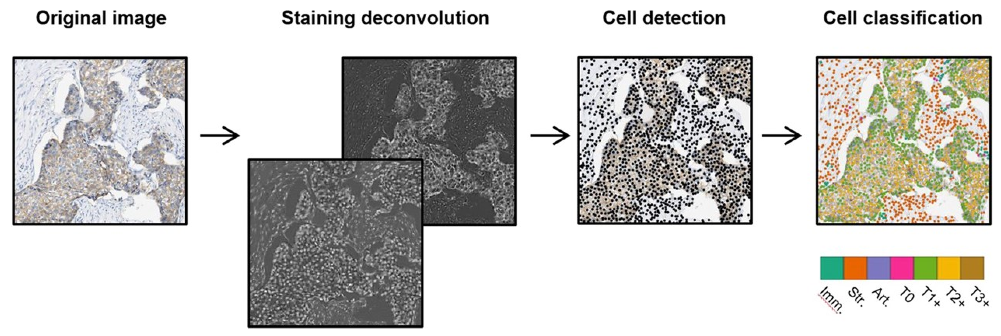 Micromachines 13 00260 g006
