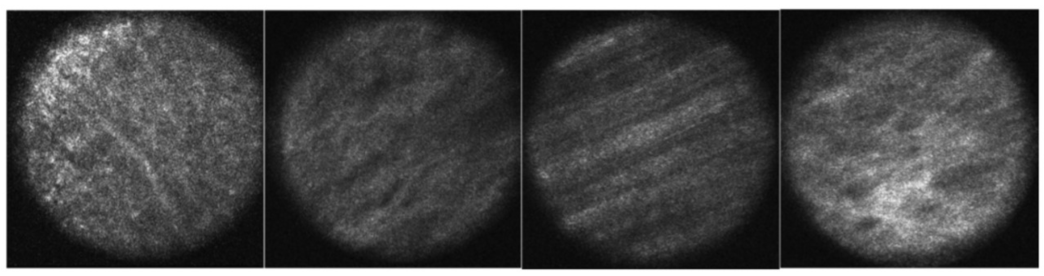 Micromachines 13 00260 g009