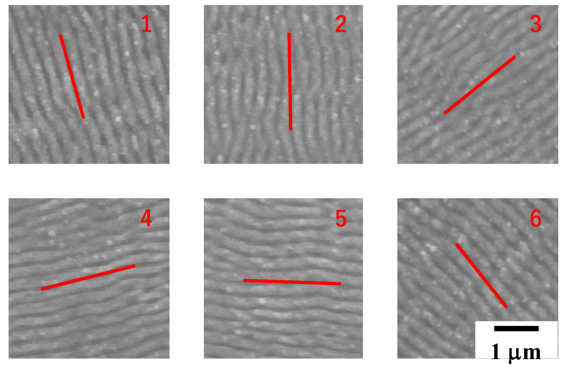 Micromachines 13 00265 g003