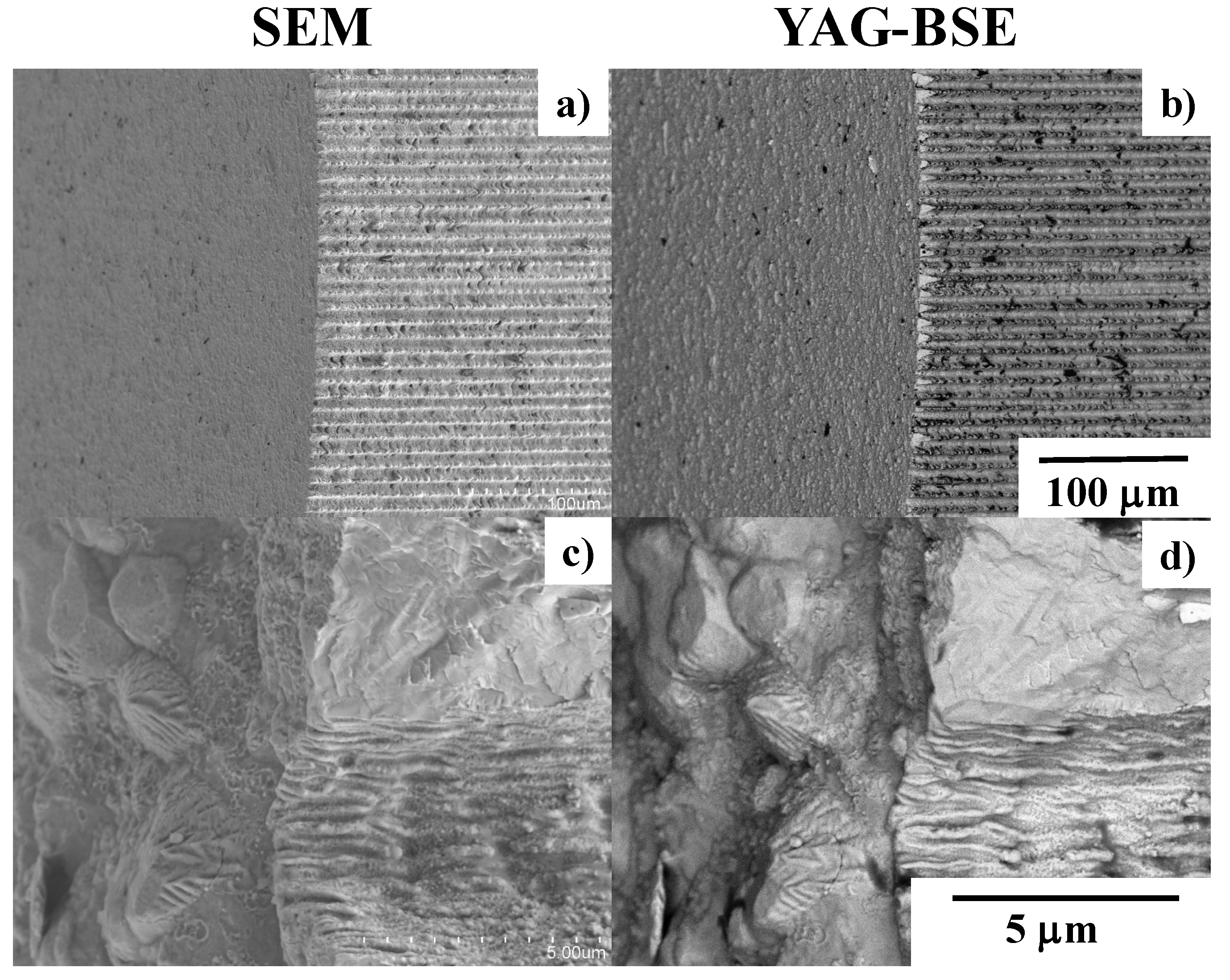 Micromachines 13 00265 g016