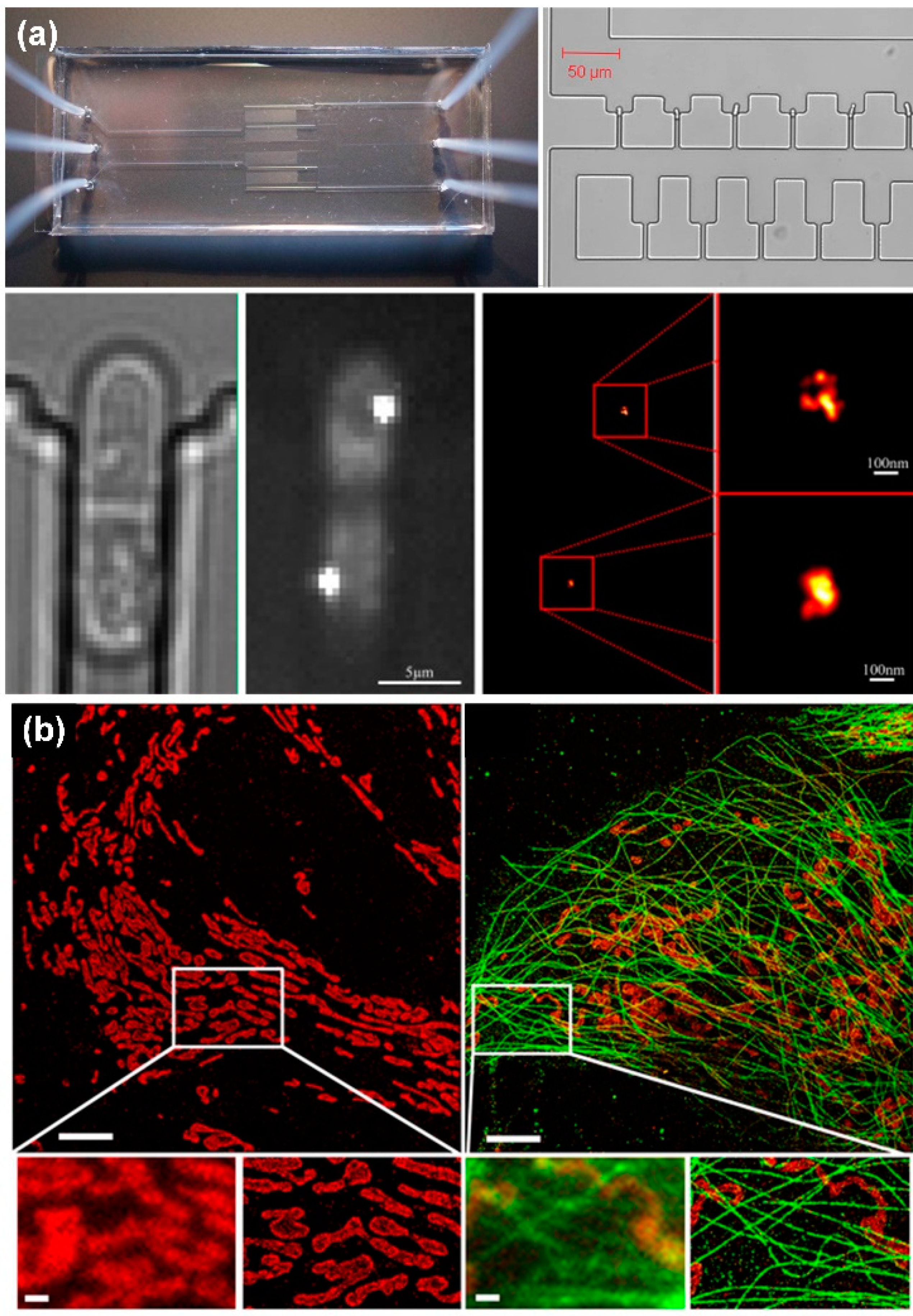 Micromachines 13 00274 g005 Micromachines 13 00274 g005