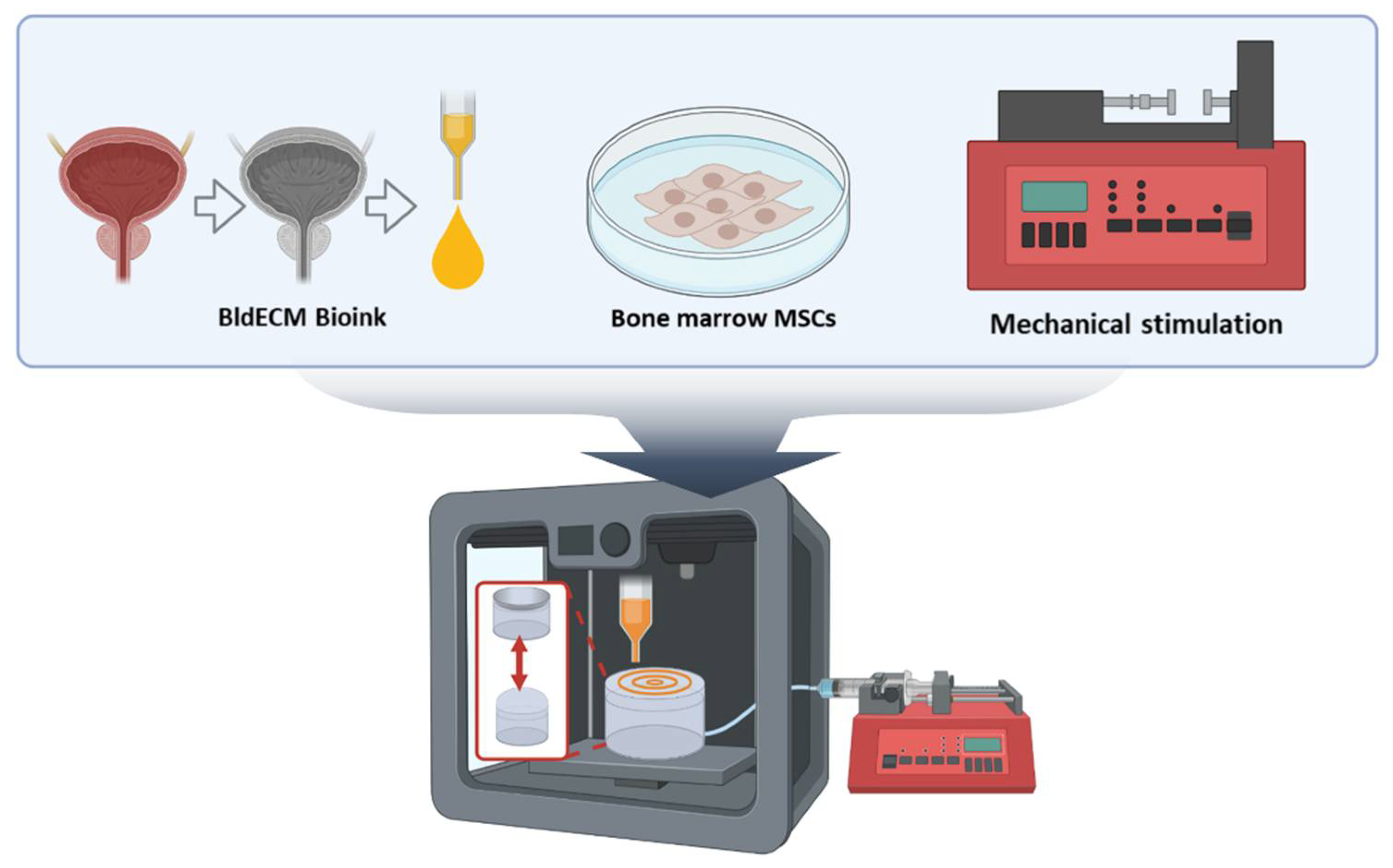 Micromachines 13 00277 g001
