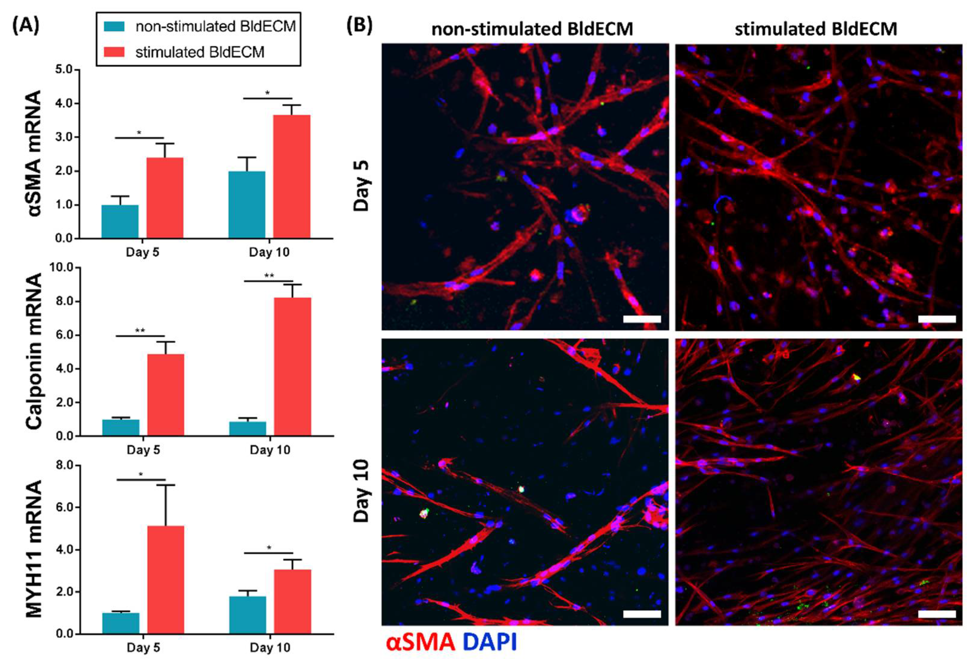 Micromachines 13 00277 g005