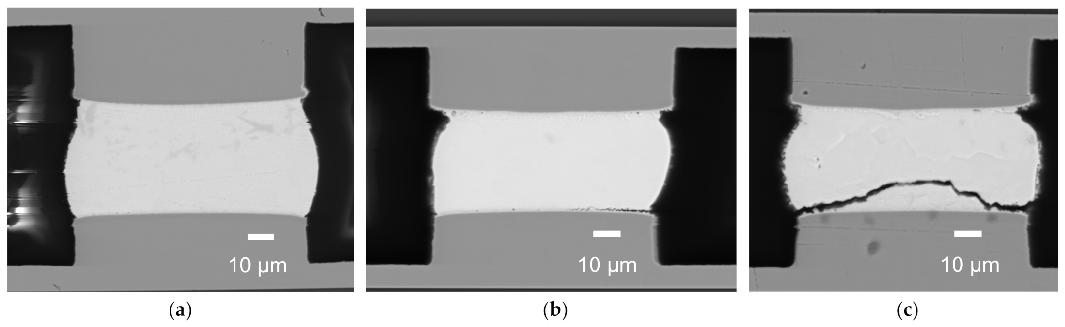 Micromachines 13 00281 g006