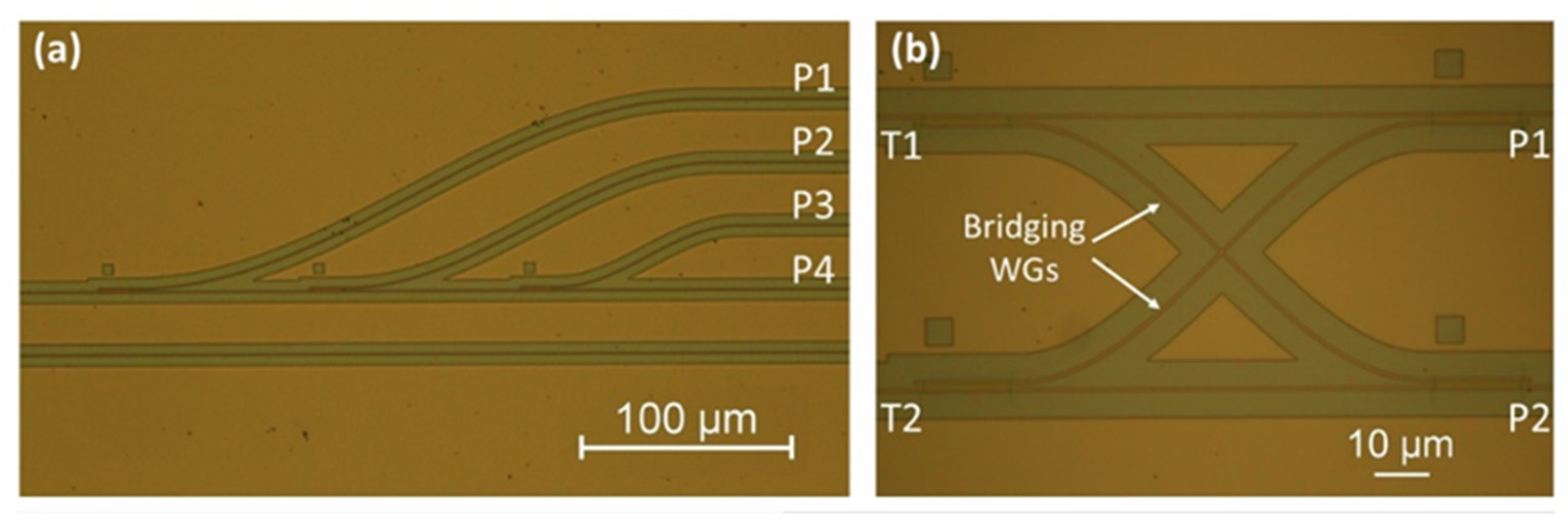 Micromachines 13 00291 g017