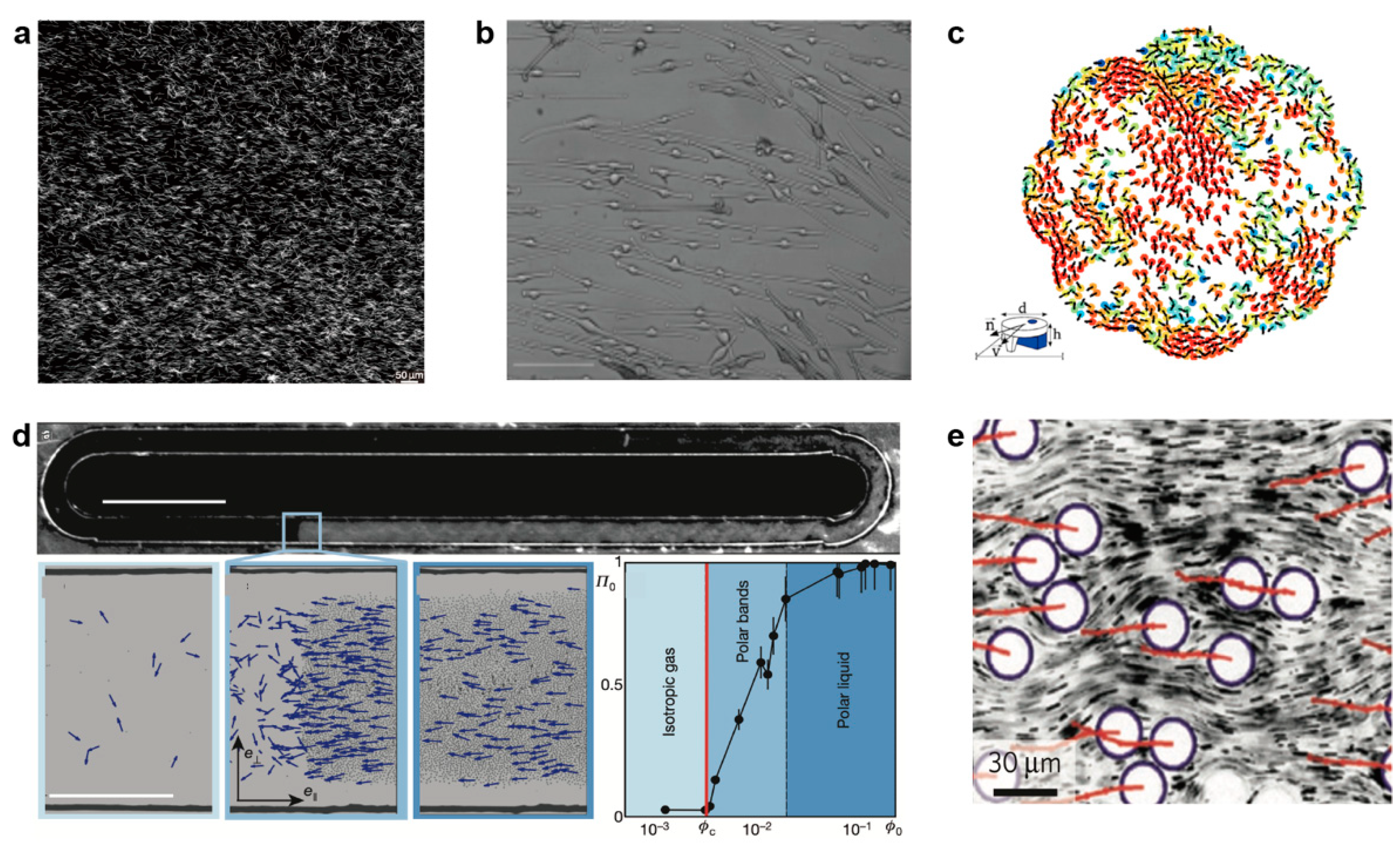 Micromachines 13 00295 g002
