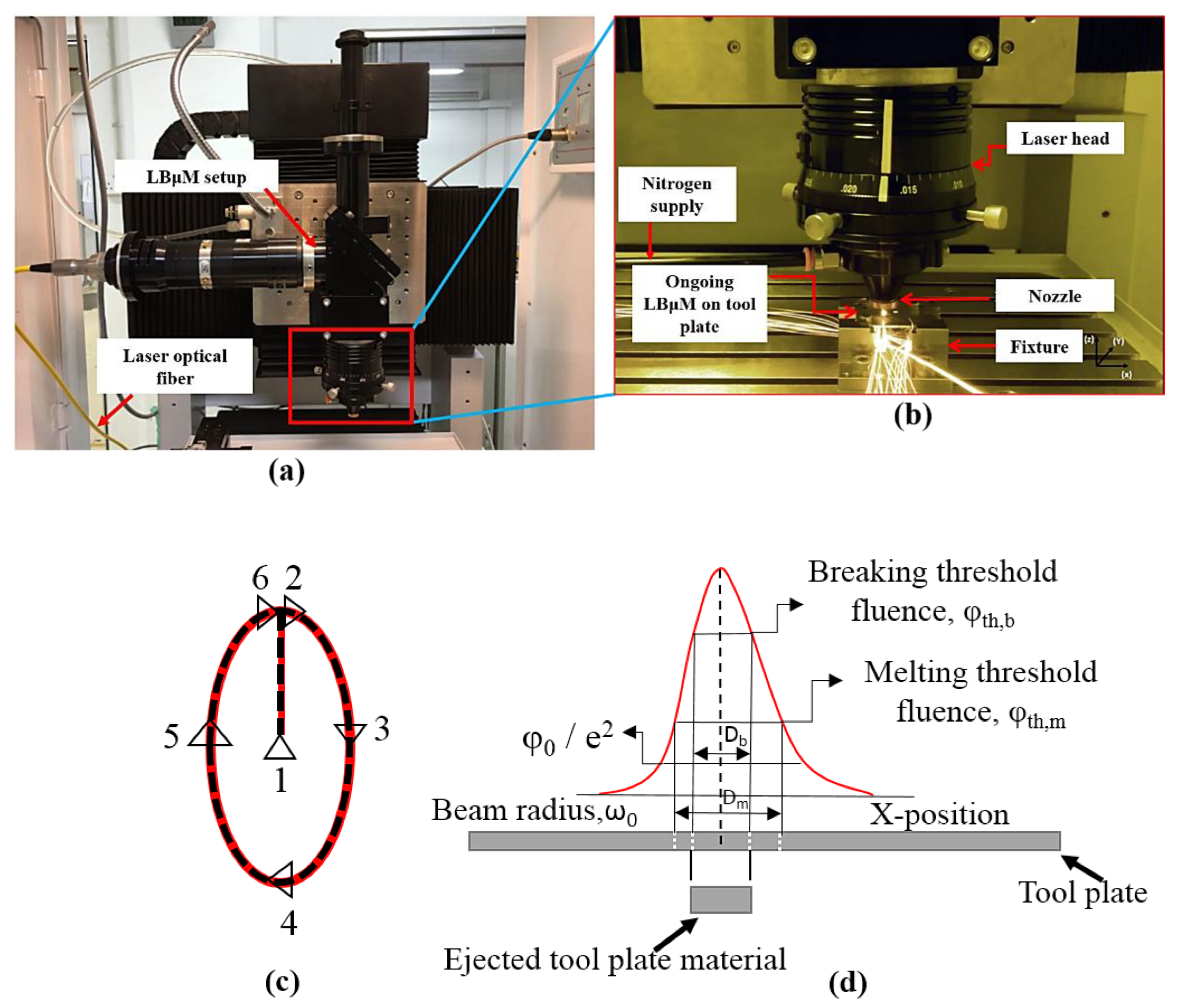 Micromachines 13 00306 g002