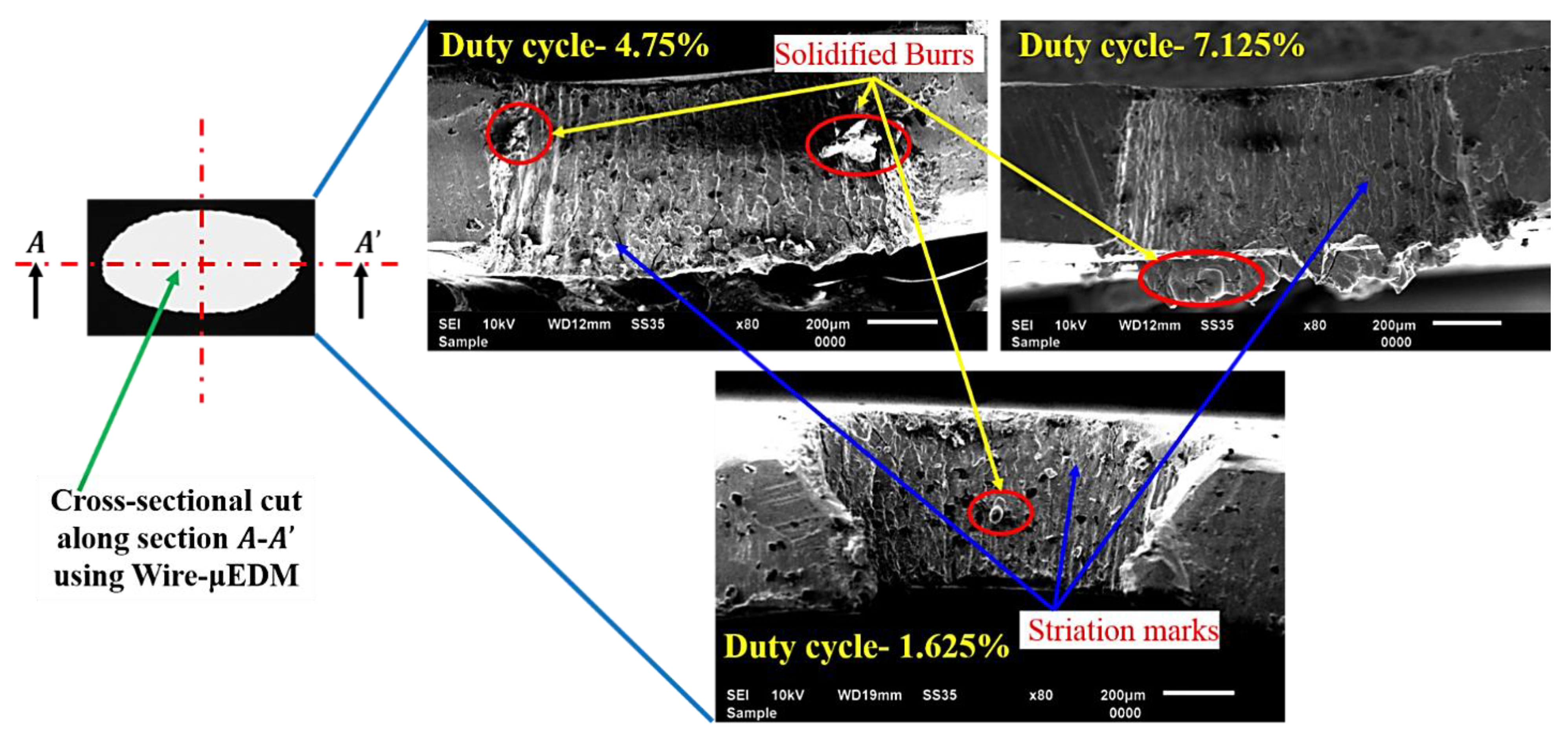 Micromachines 13 00306 g006
