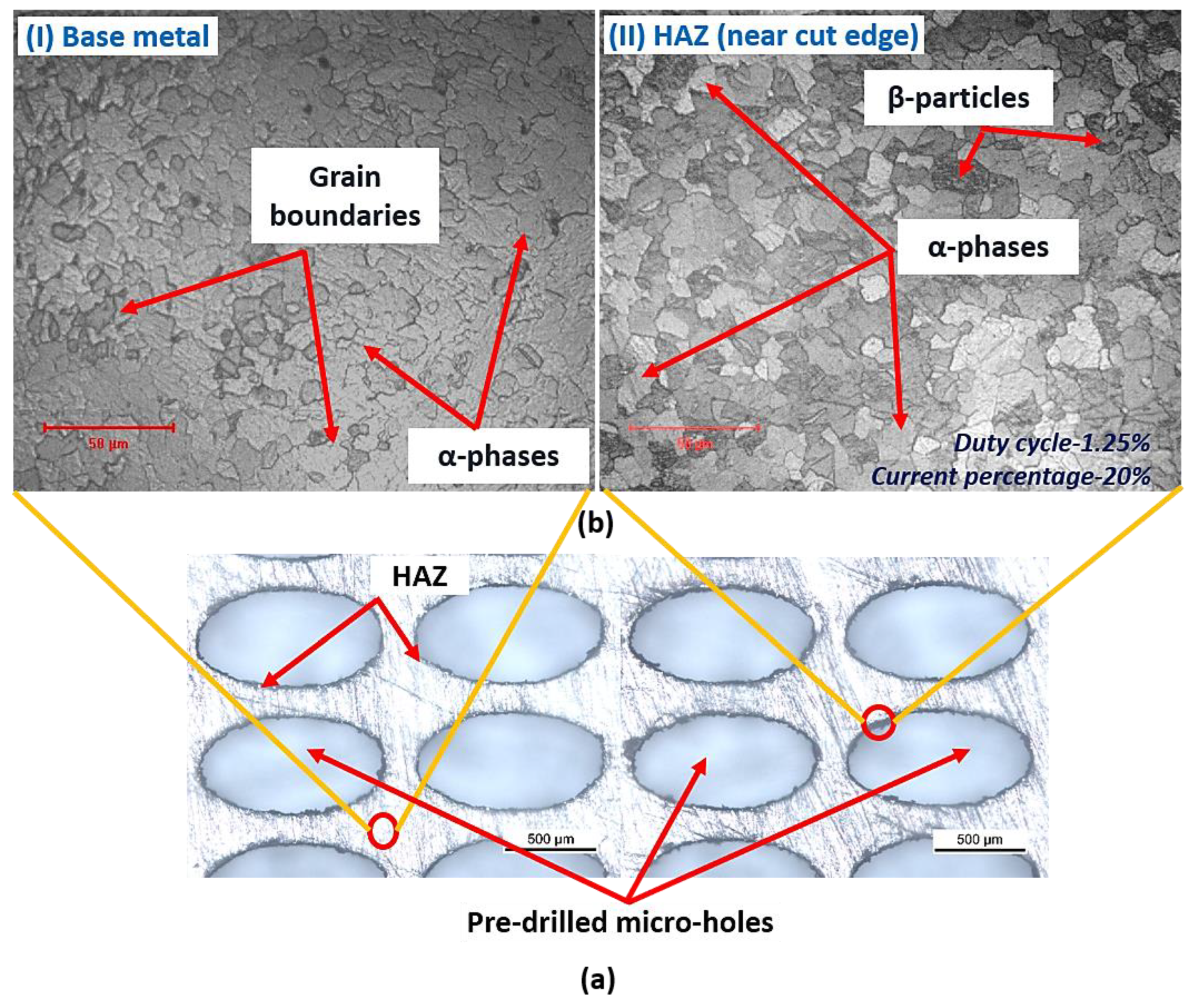 Micromachines 13 00306 g007