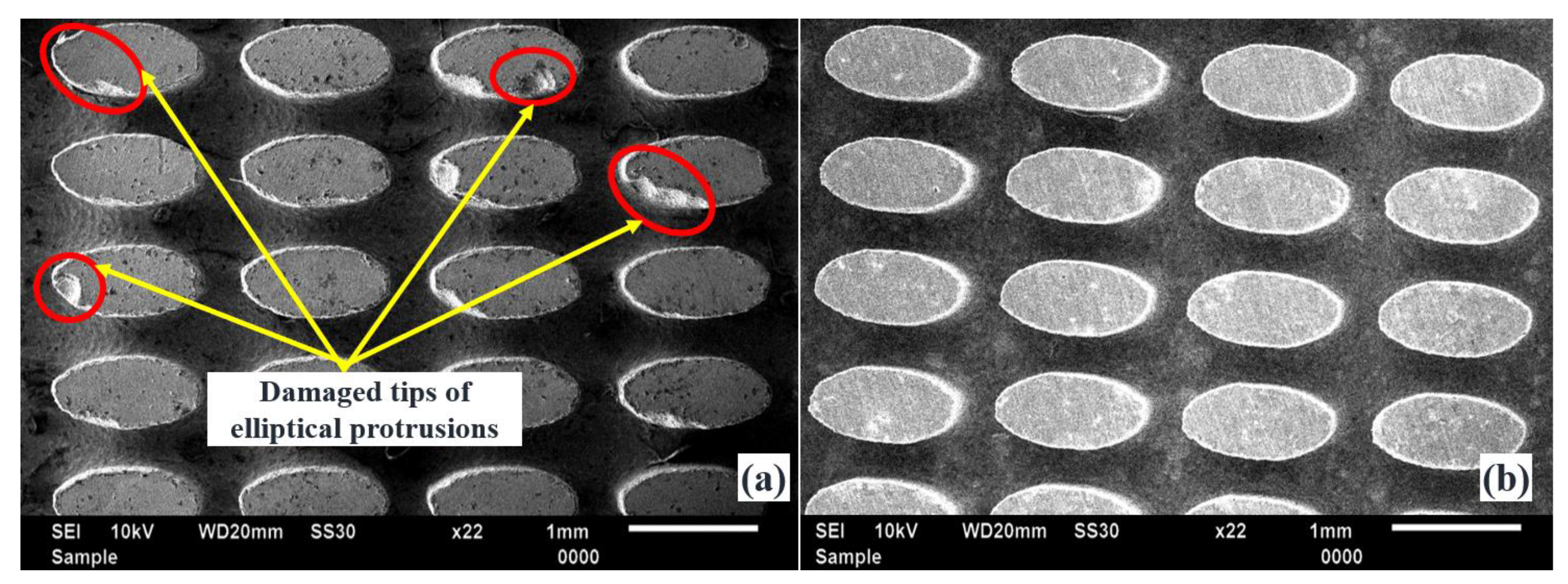 Micromachines 13 00306 g013