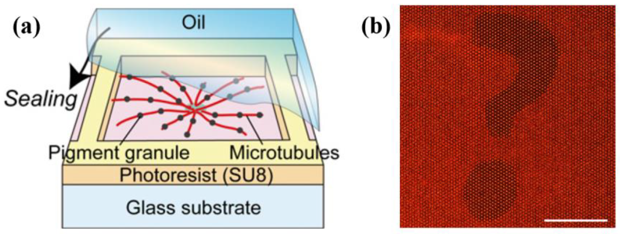 Micromachines 13 00307 g002